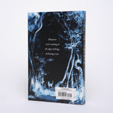 The Ocean at the End of the Lane (Illustrated Edition) - Gaiman, Neil; Hurst, Elise (illustrations)
