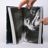 The Ocean at the End of the Lane (Illustrated Edition) - Gaiman, Neil; Hurst, Elise (illustrations)