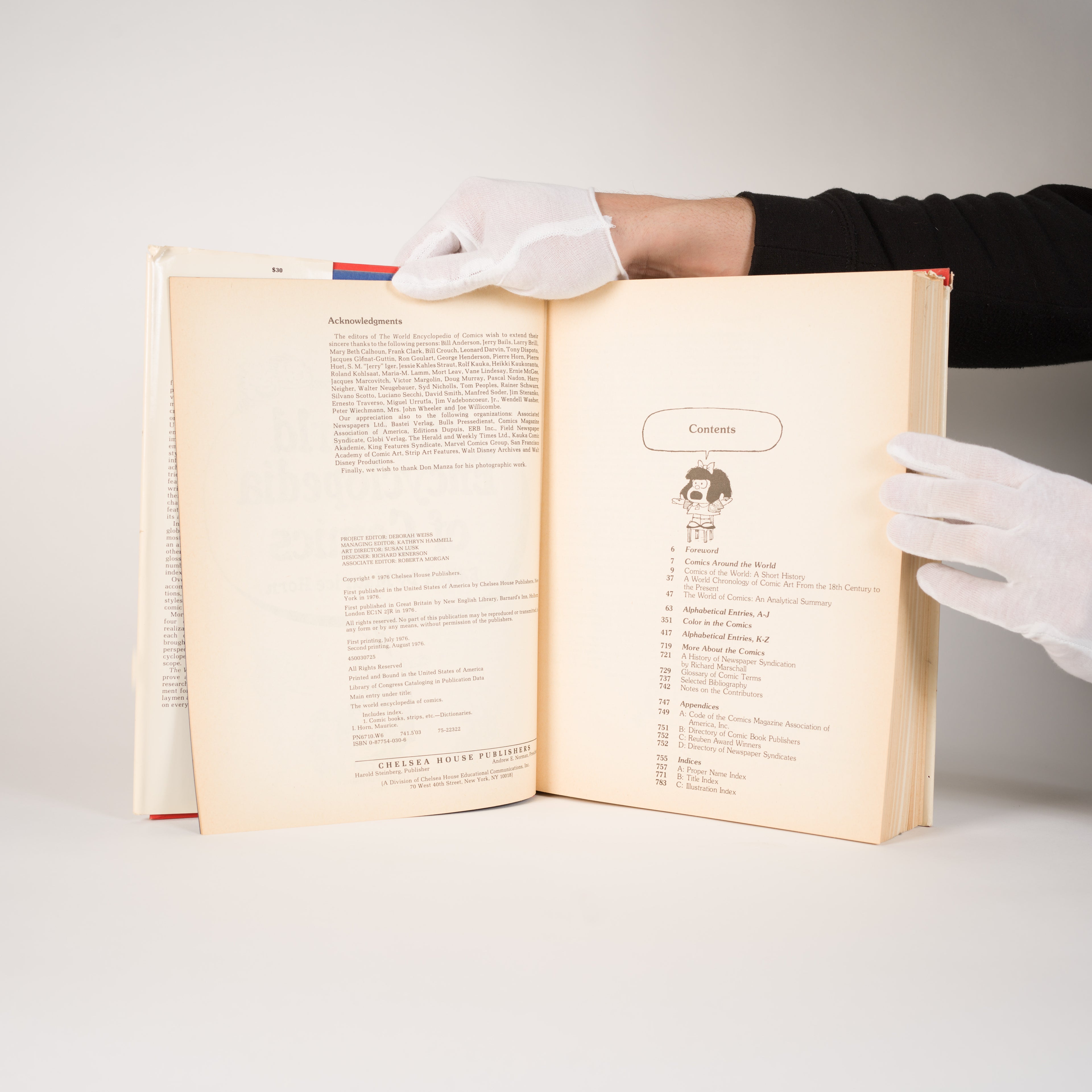 The World Encyclopedia of Comics