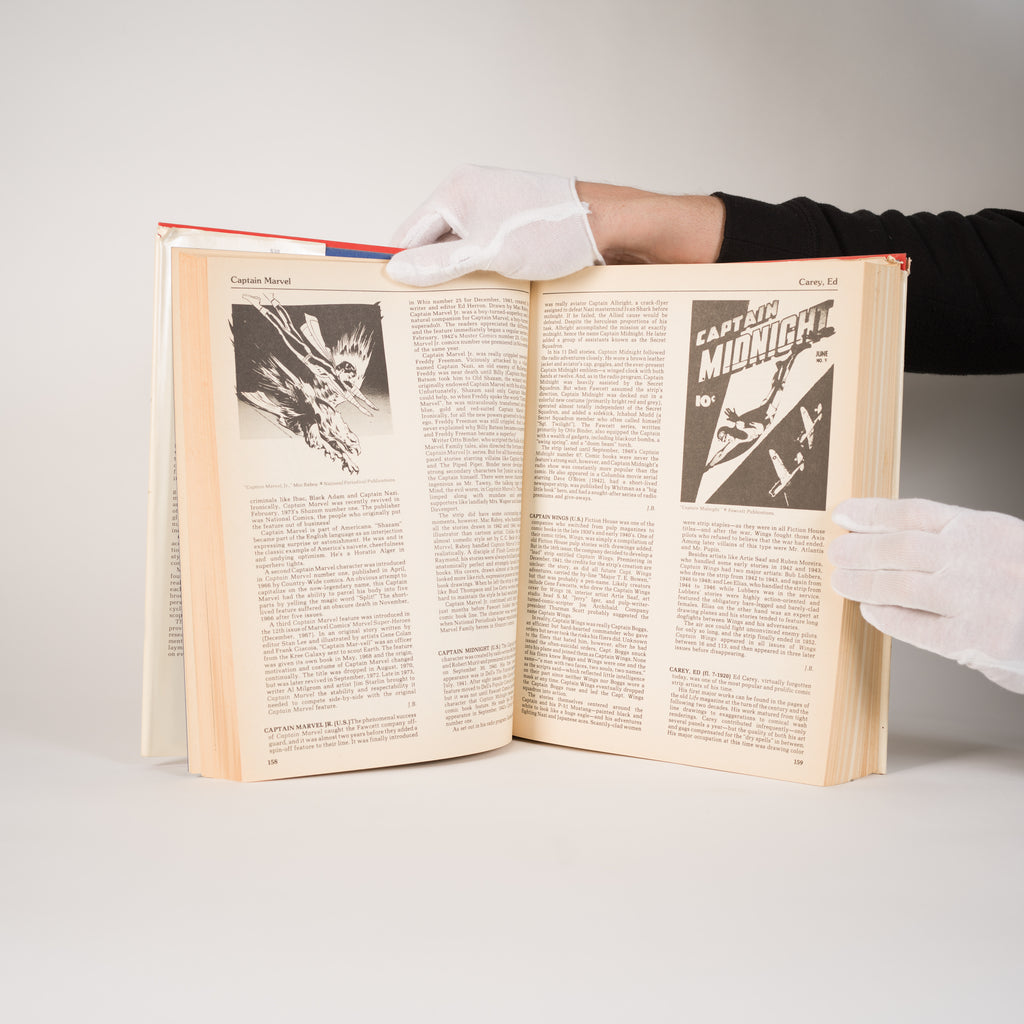 The World Encyclopedia of Comics