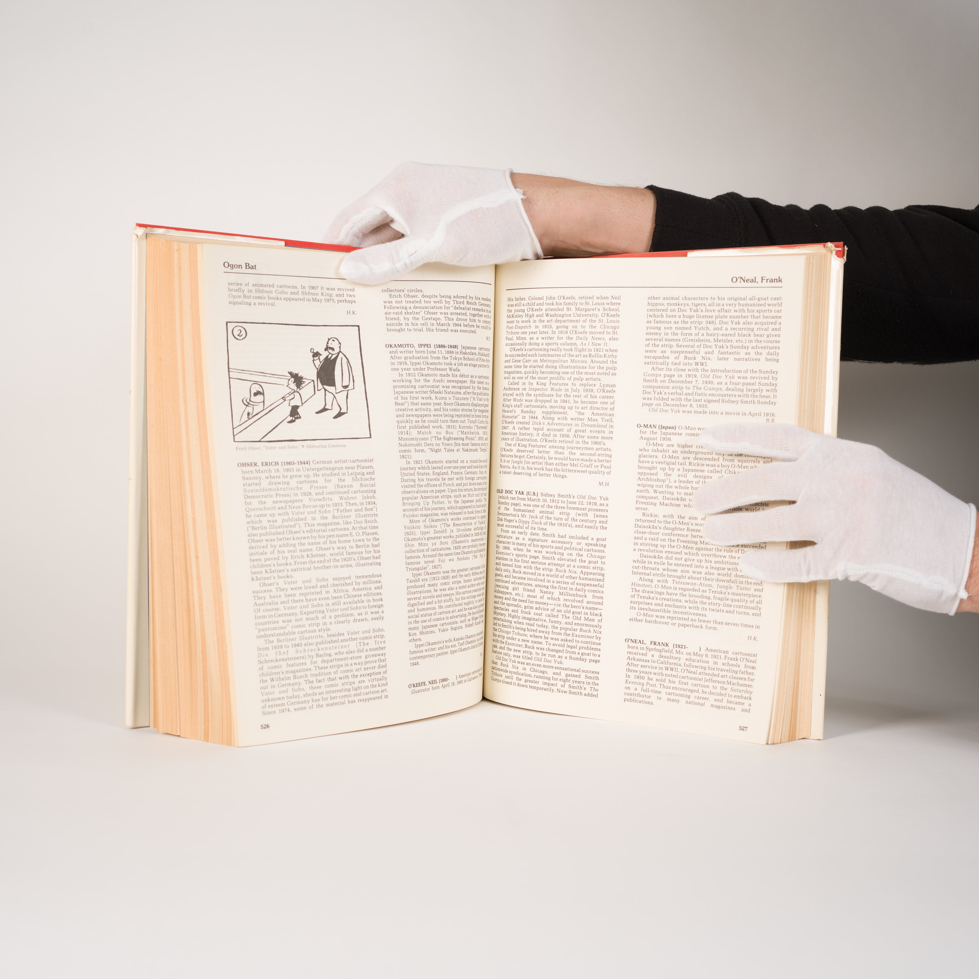 The World Encyclopedia of Comics