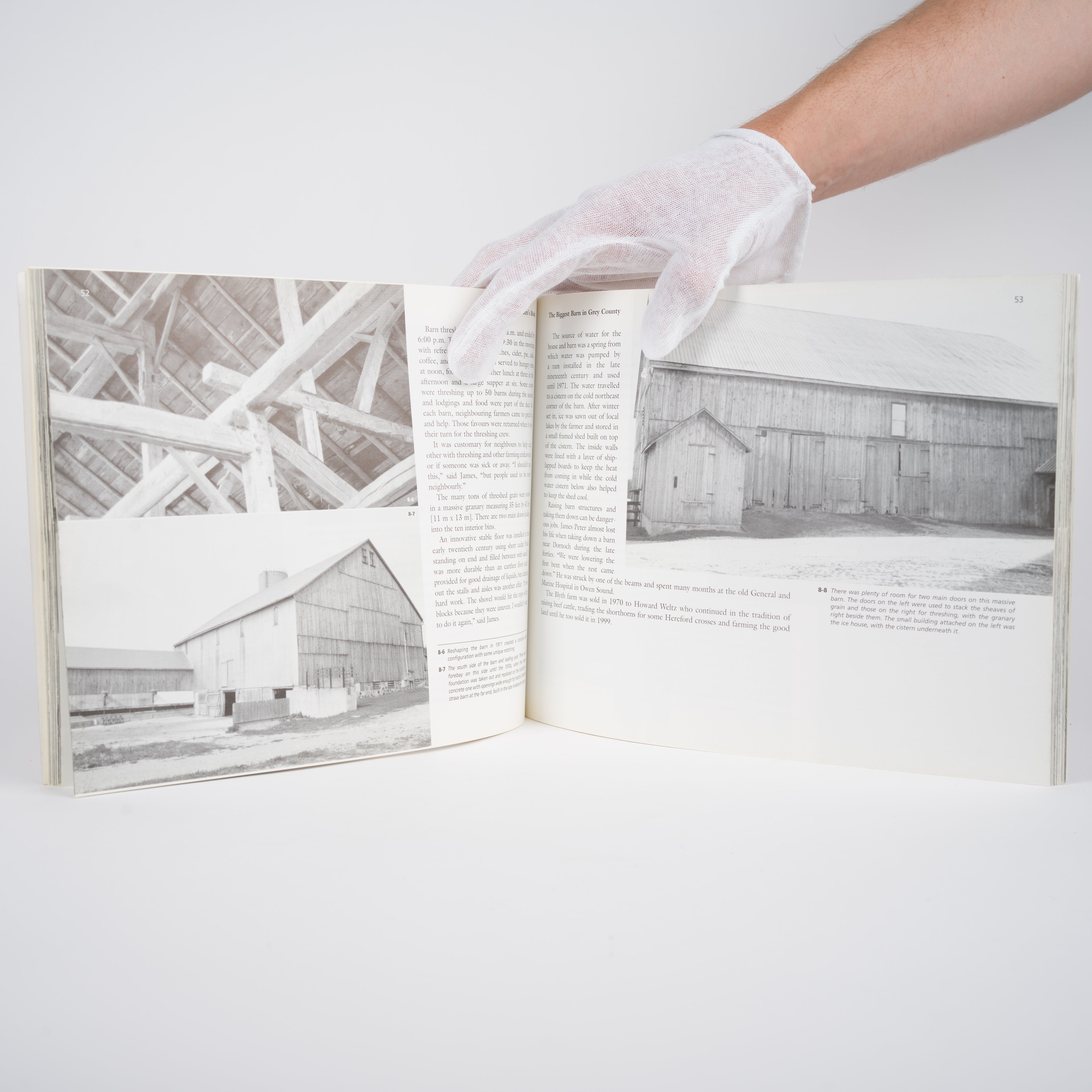 Barns of the Queen's Bush - Radojkovic, Jon