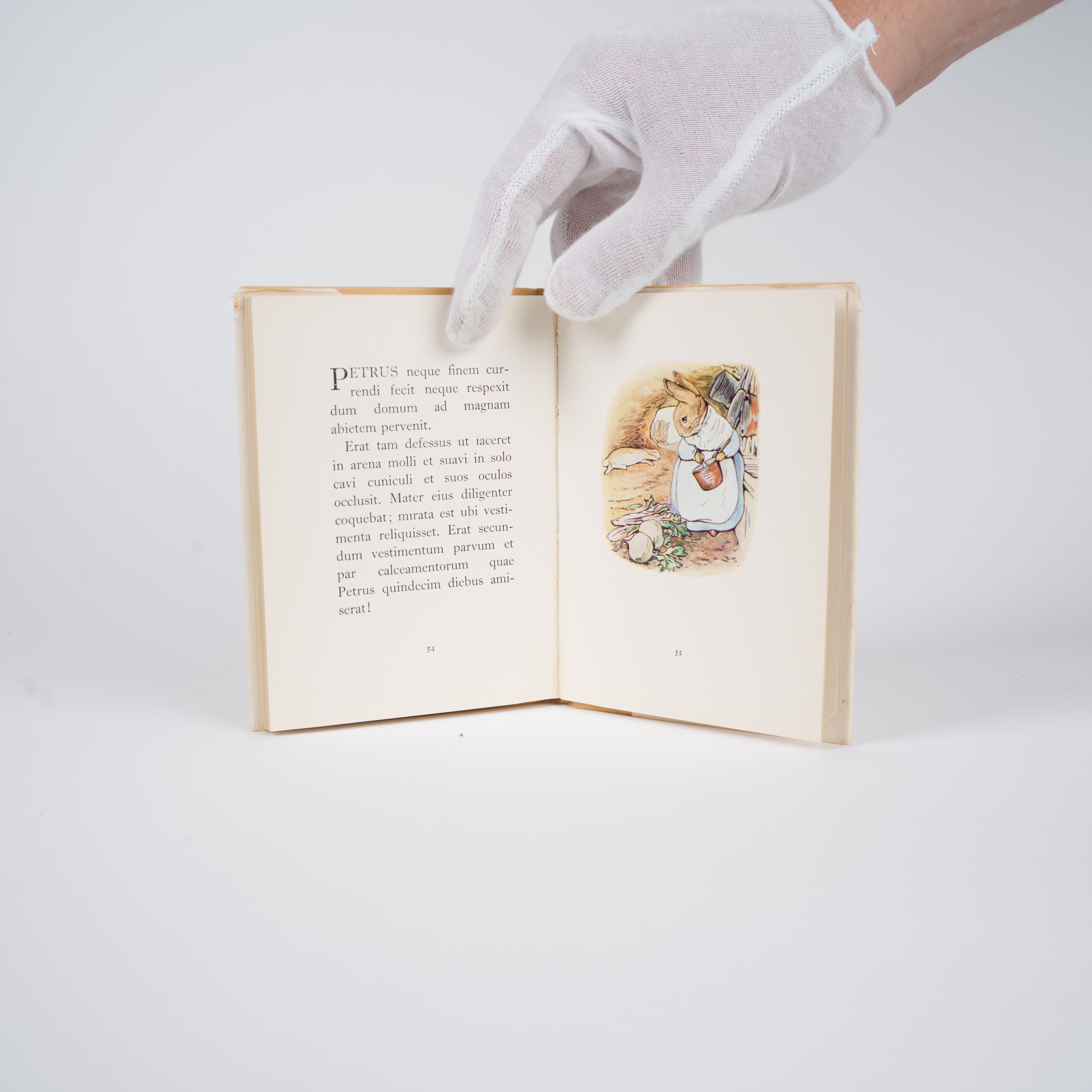 Fabula de Petro Cuniculo - Potter, Beatricis