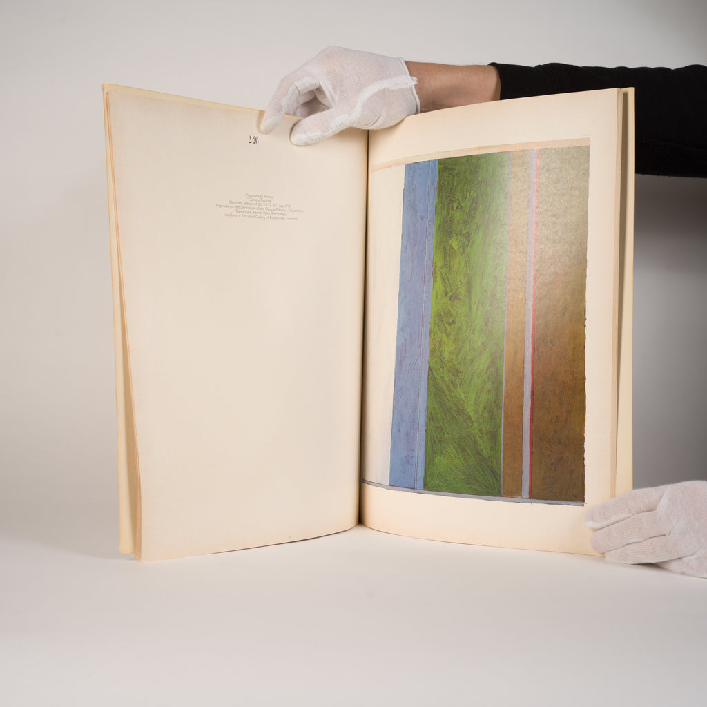 Twenty Painters/Twenty Paintings: Contemporary Canadian Art  Lipman, Marci; Lipman, Louise (editors)