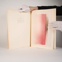 Twenty Painters/Twenty Paintings: Contemporary Canadian Art - Lipman, Marci; Lipman, Louise (editors)