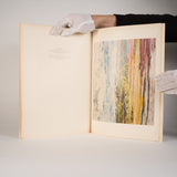 Twenty Painters/Twenty Paintings: Contemporary Canadian Art - Lipman, Marci; Lipman, Louise (editors)