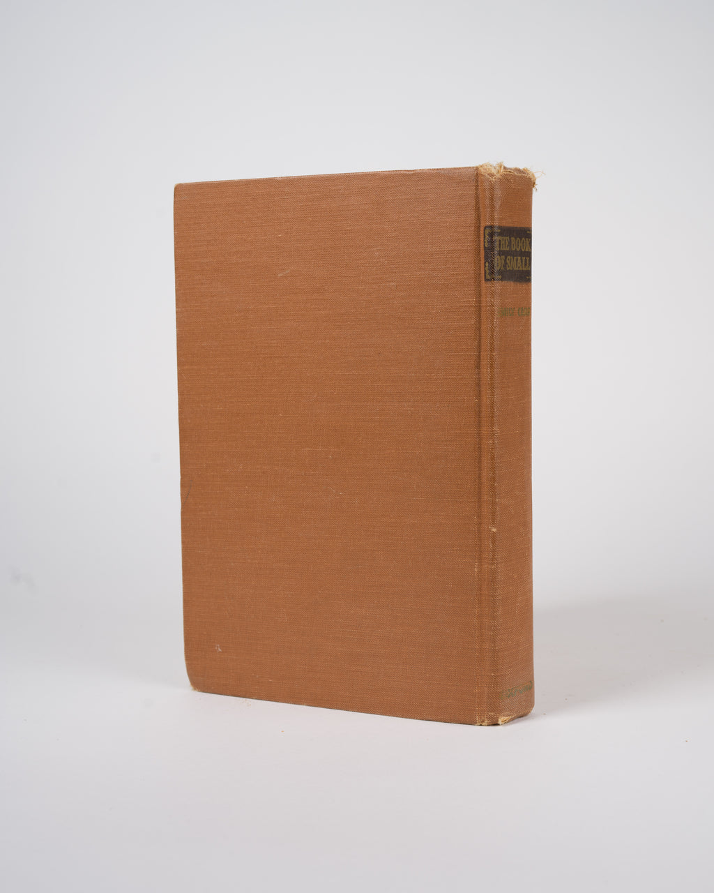 The Book of Small - Carr, Emily