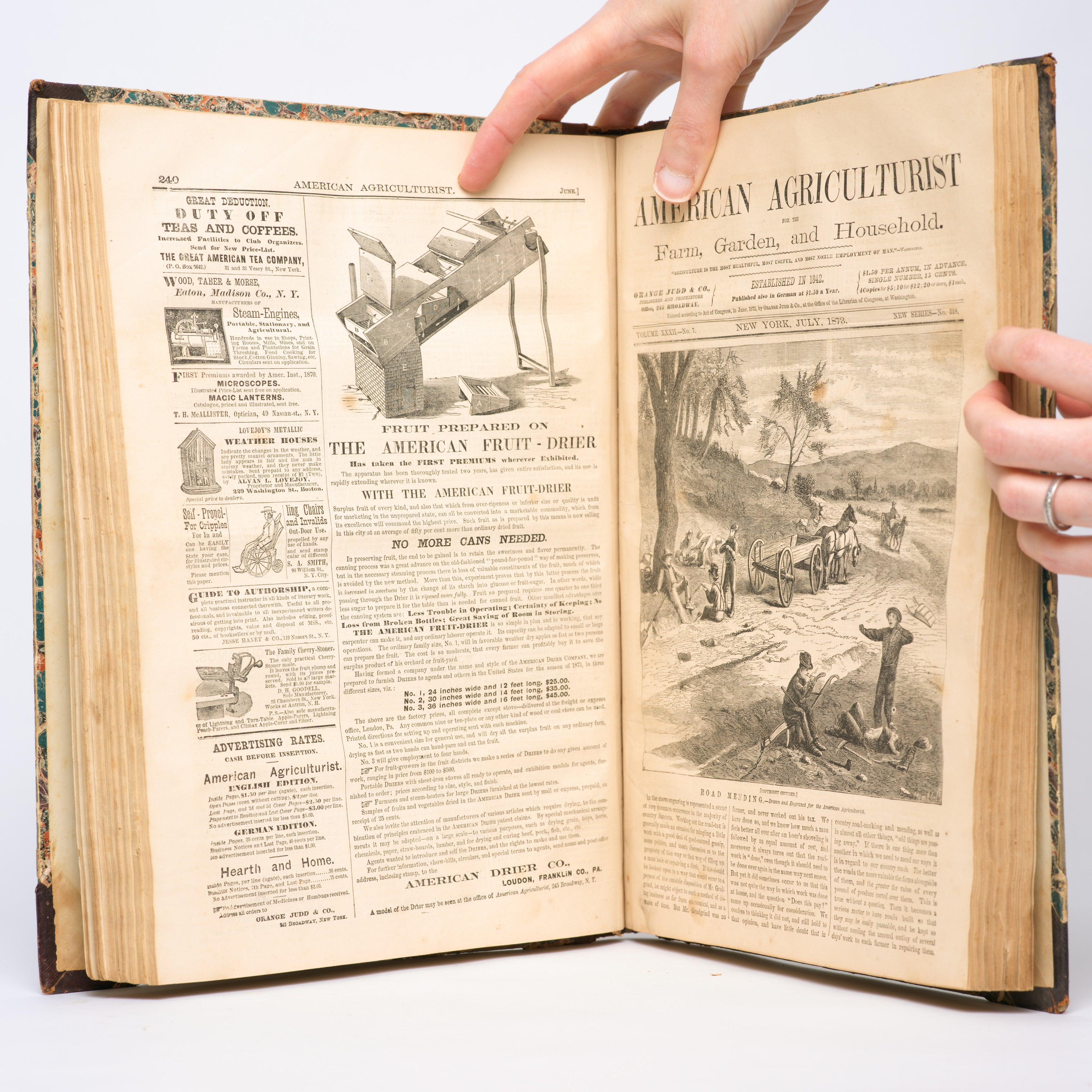 The American Agriculturist: Volume 32, 1873