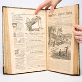 The American Agriculturist: Volume 32, 1873