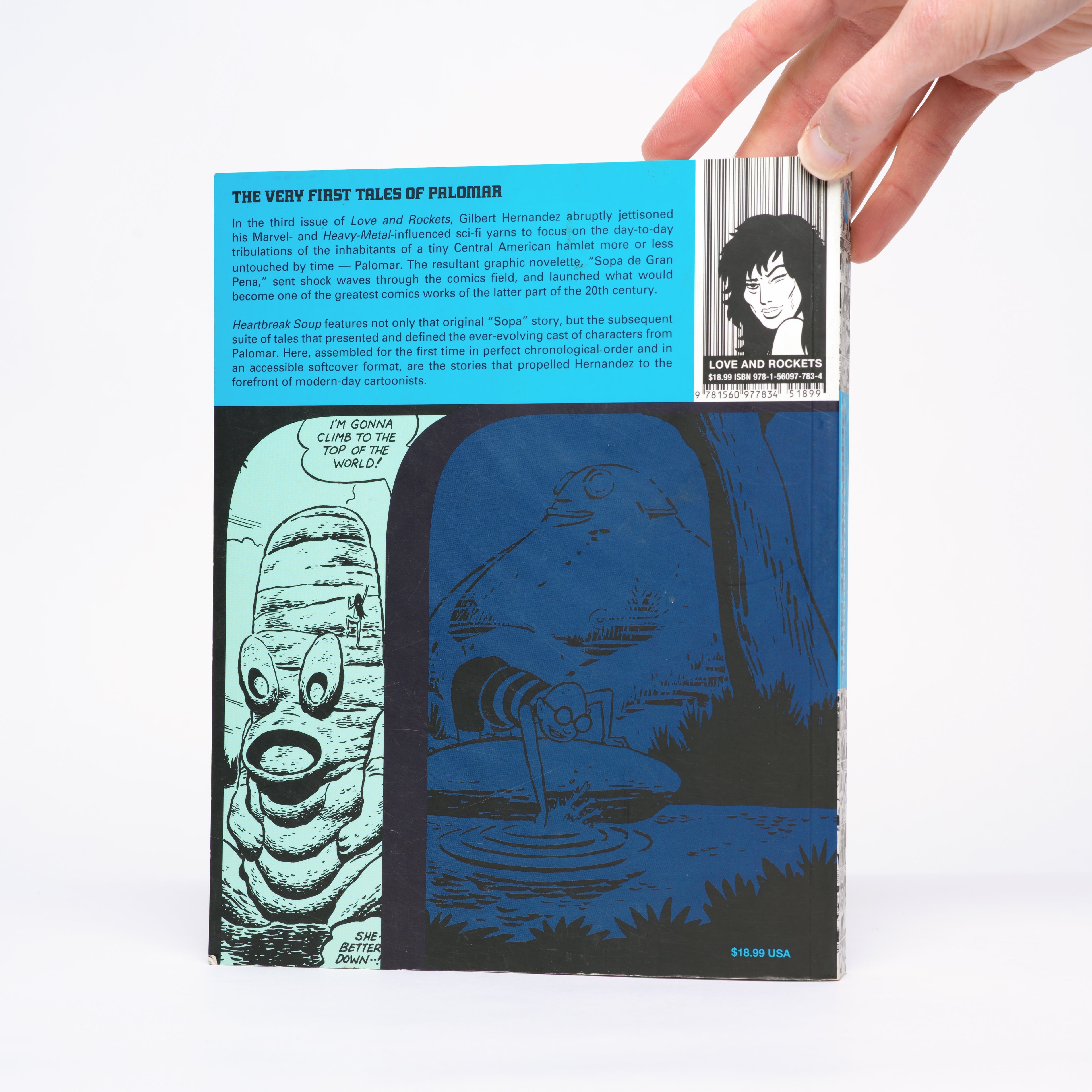 Heartbreak Soup (A Love and Rockets Book) - Hernandez, Gilbert