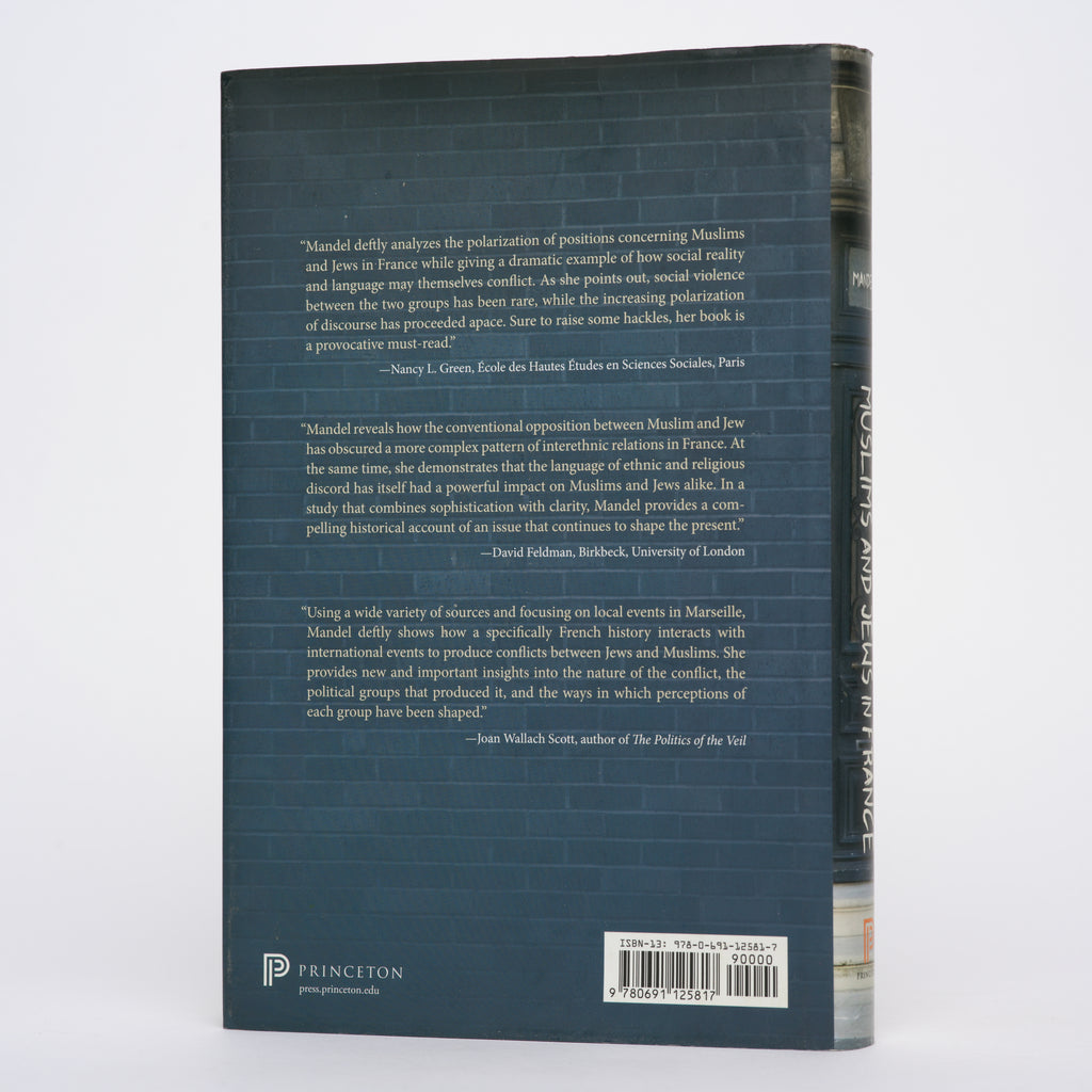 Muslims and Jews in France: History of a Conflict - Mandel, Maud S.