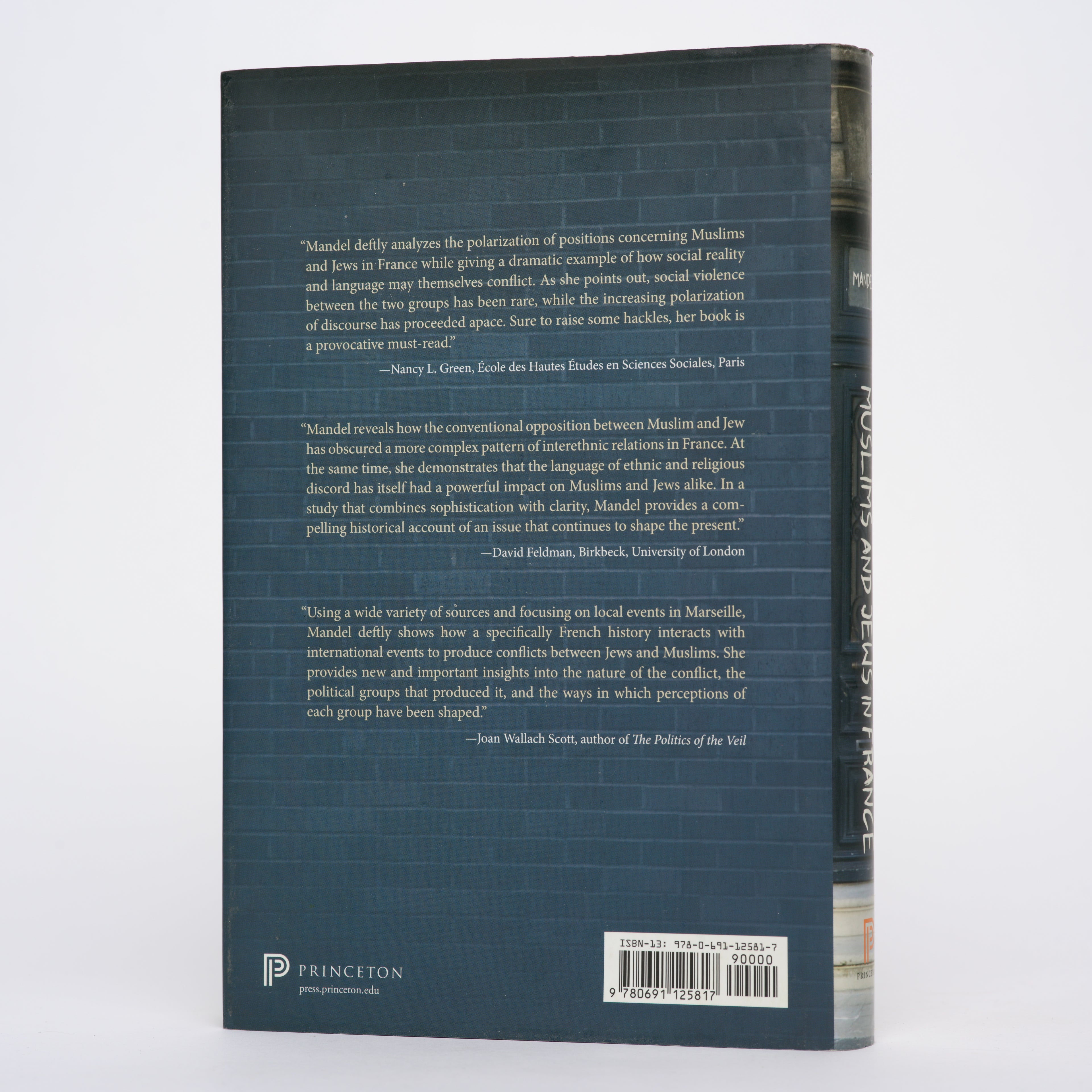 Muslims and Jews in France: History of a Conflict - Mandel, Maud S.