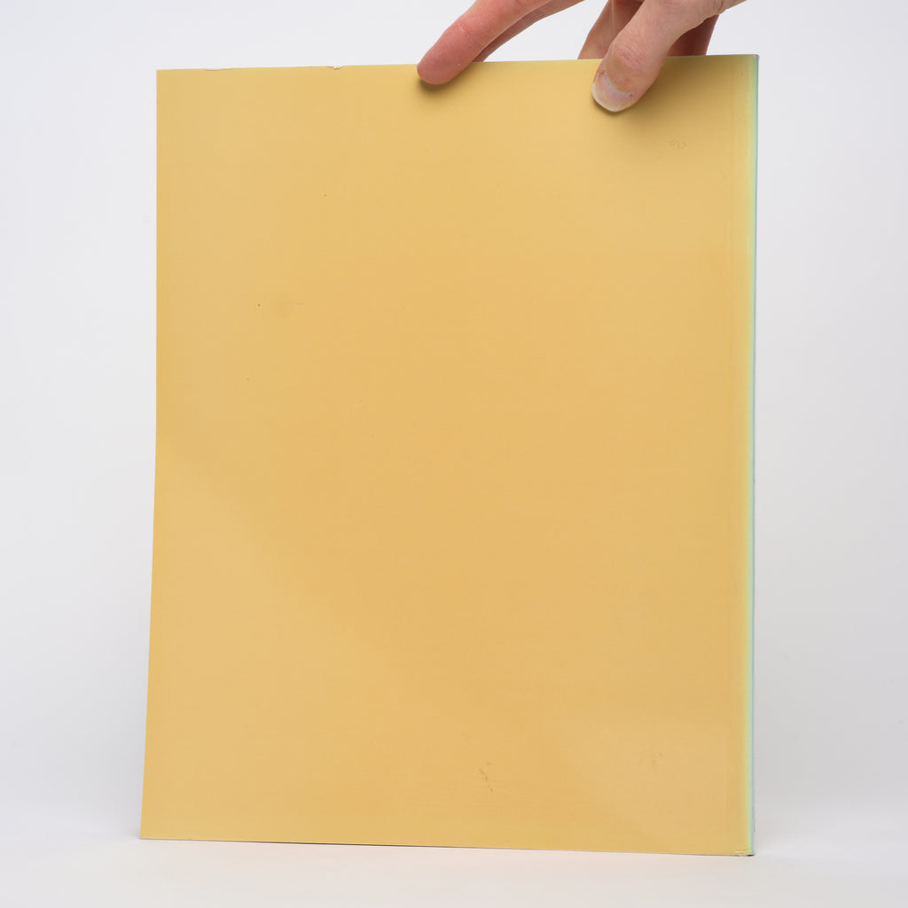 Asian Art: The Art Institute of Chicago - Pearlstein, Elinor L.