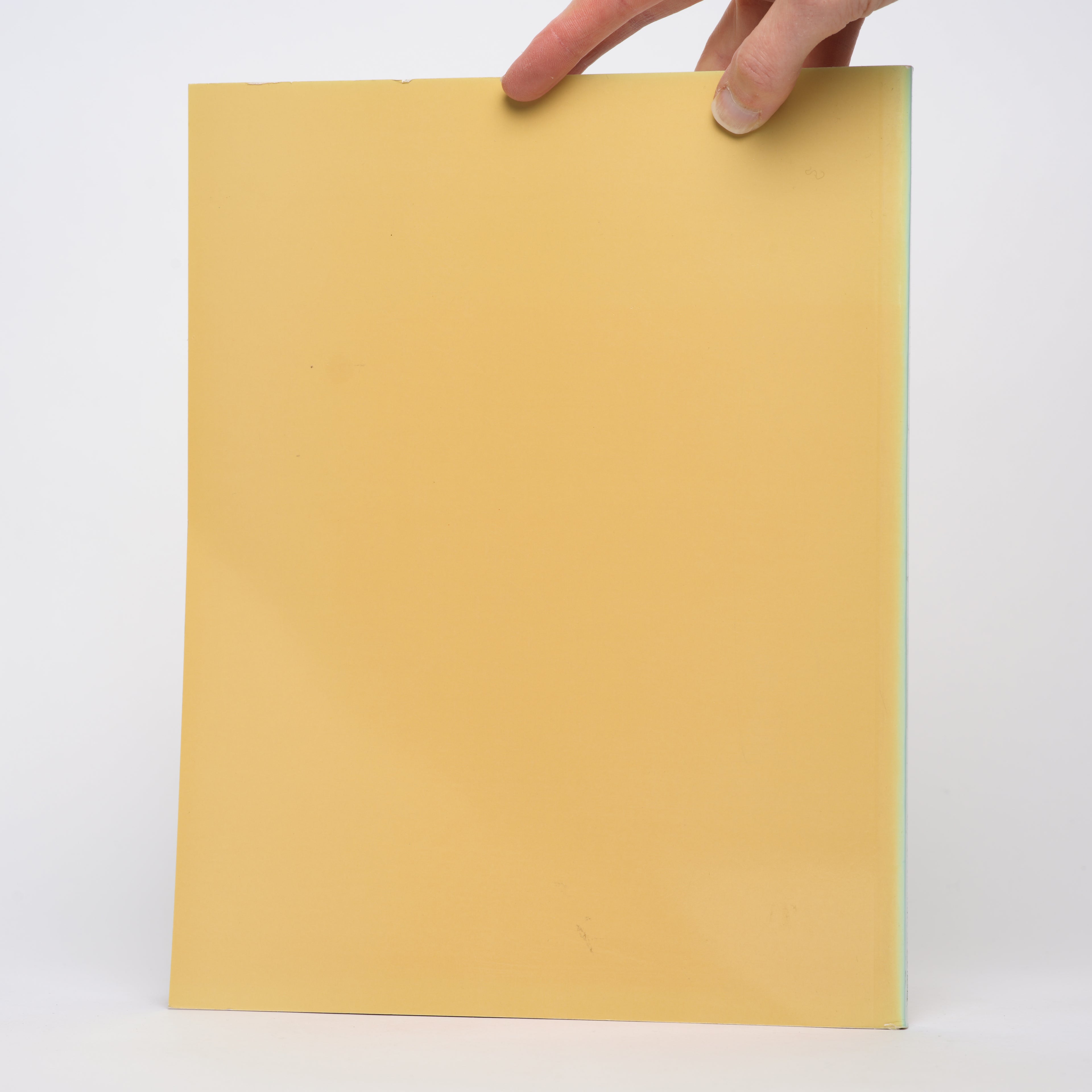 Asian Art: The Art Institute of Chicago - Pearlstein, Elinor L.