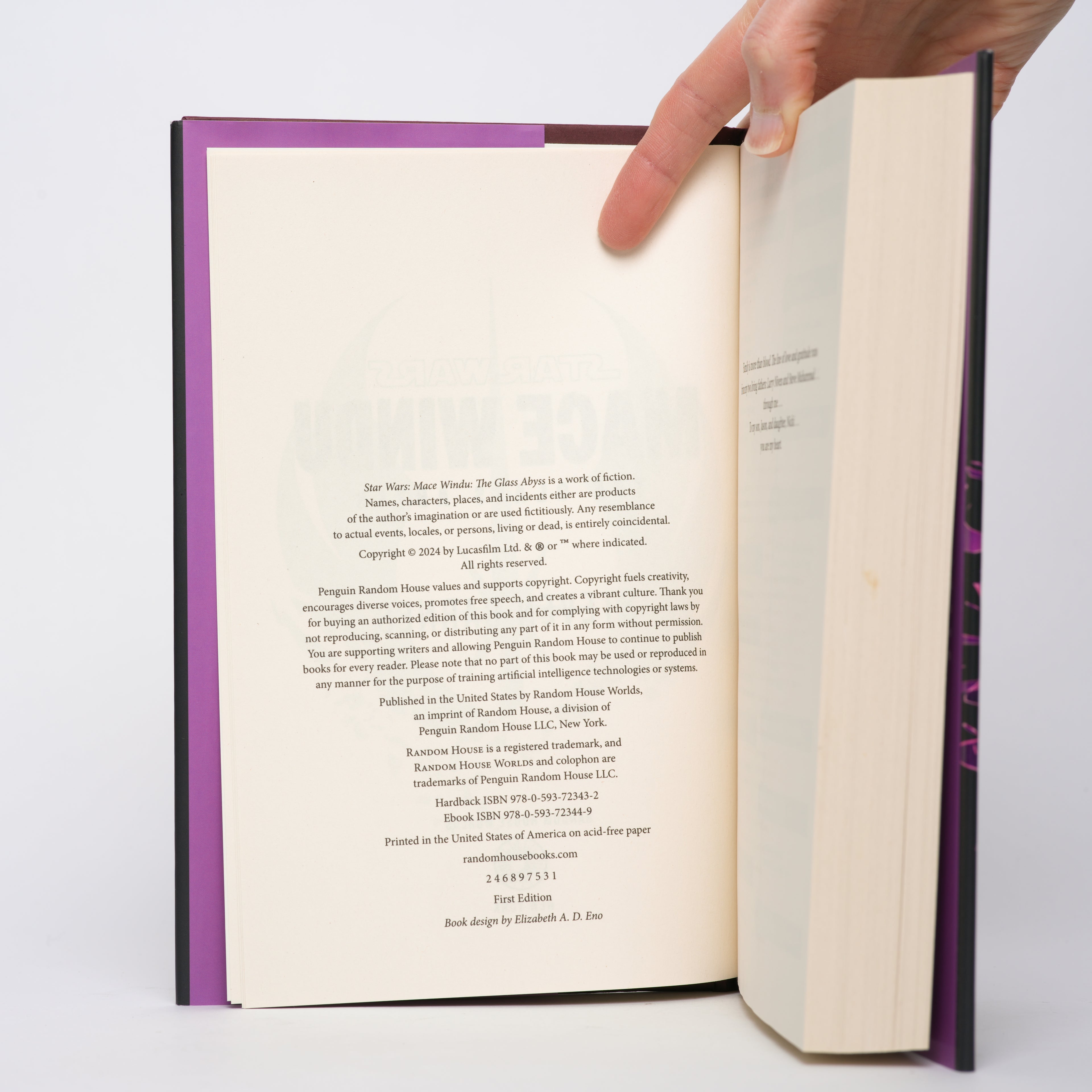 Star Wars: Mace Windu - The Glass Abyss - Barnes, Steven