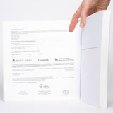 In Search of the Grand Trunk: Ghost Rail Lines in Ontario - Brown, Ron