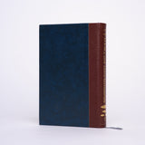 U.F.O.s and Extra-Terrestrials in History (Volumes 1-4 Complete) - Naud, Yves