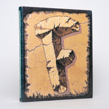 The Flintstones: A Modern Stone Age Phenomenon - Adams, T. R.