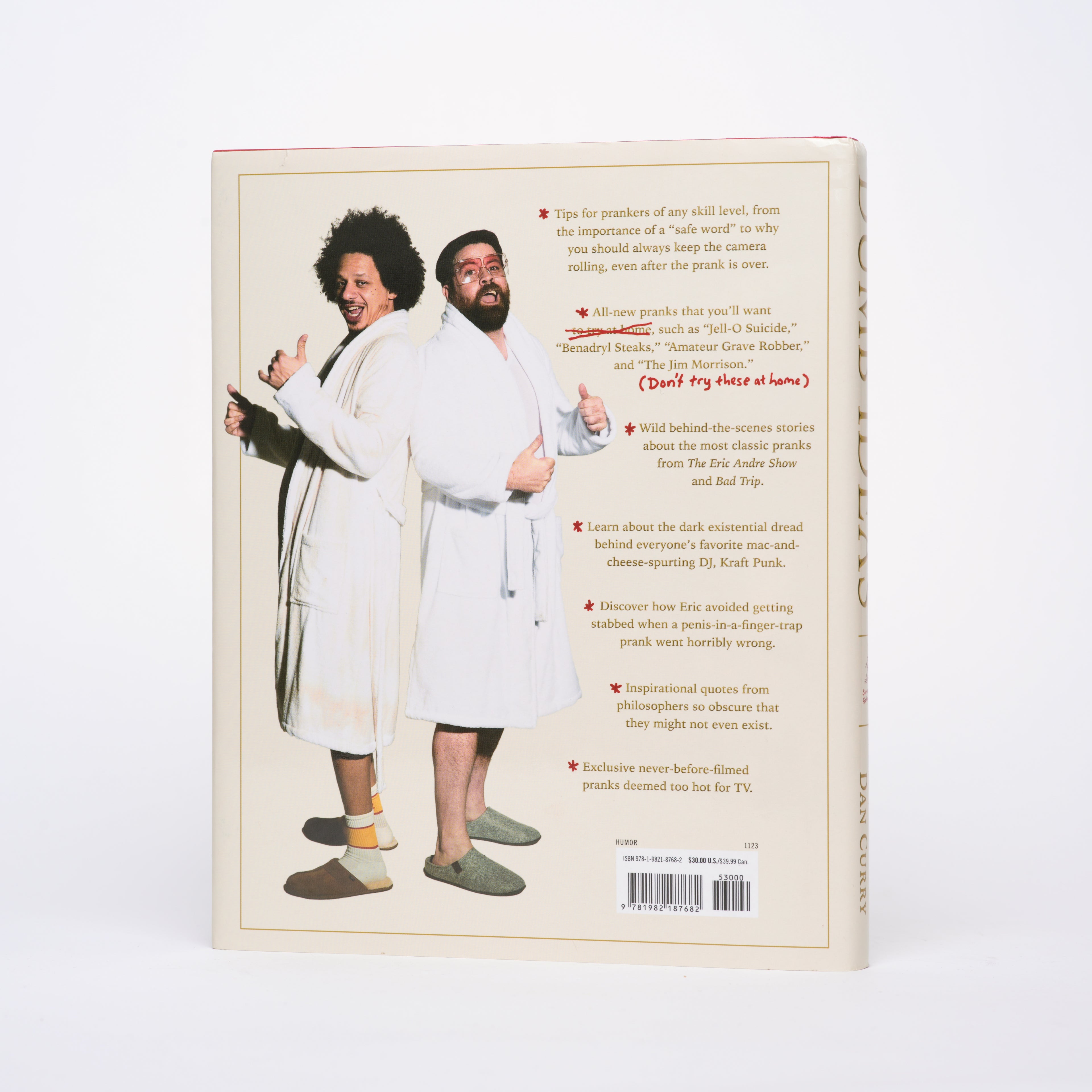 Dumb Ideas: A Behind-the-Scenes Exposé on Making Pranks and Other Stupid Creative Endeavors (and How You Can Also Too!) - Andre, Eric; Curry, Dan
