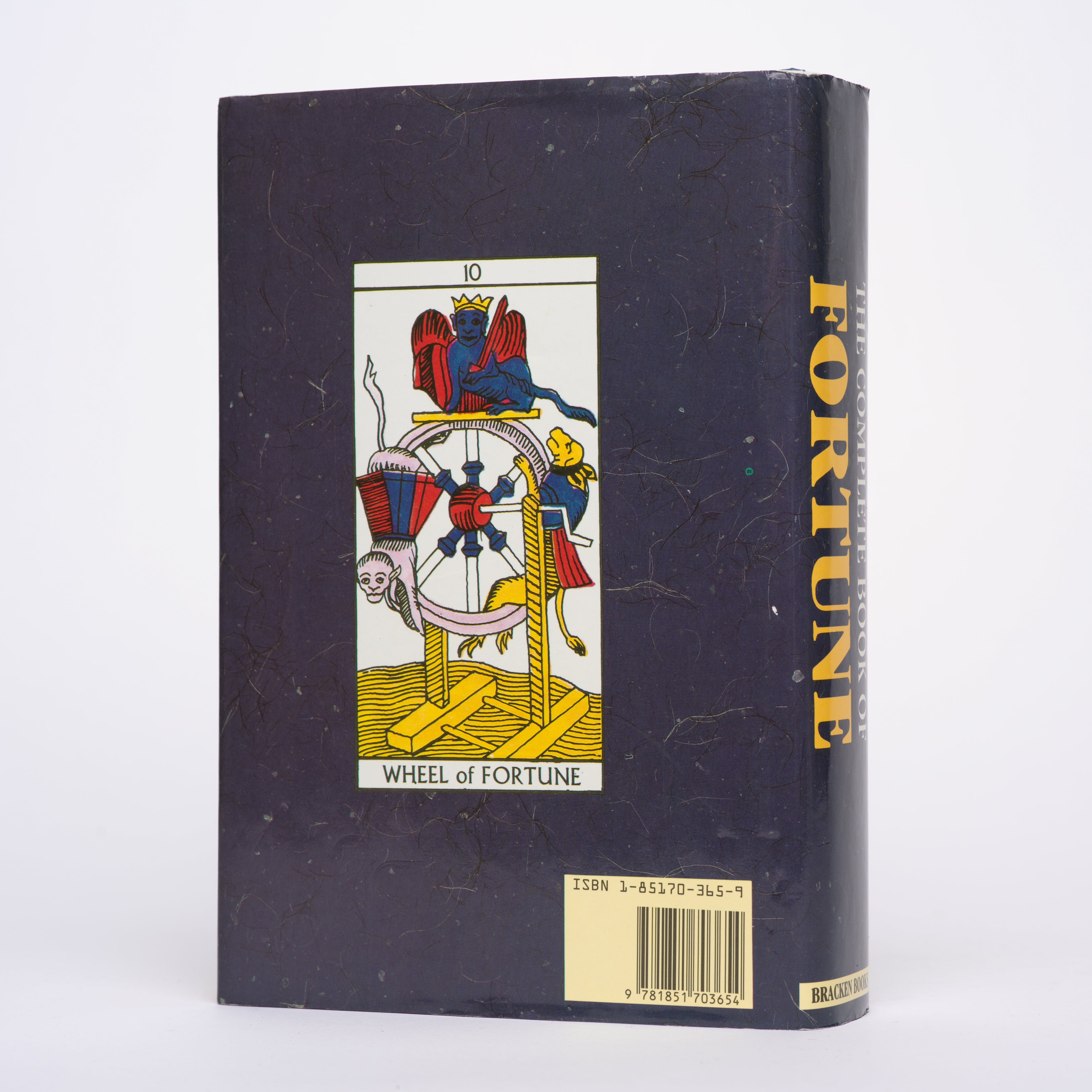 The Complete Book of Fortune - Anonymous