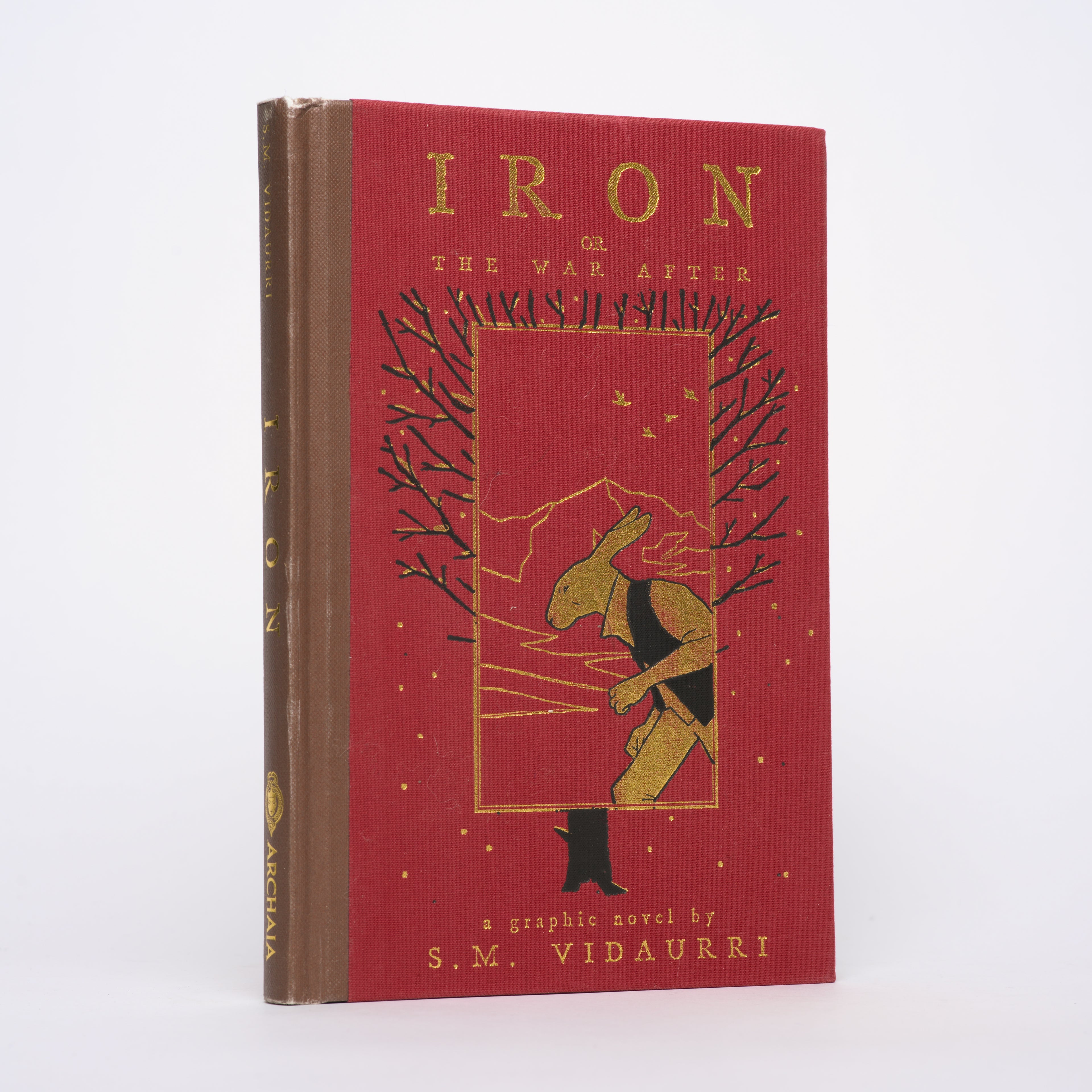 Iron: Or, the War After - Vidaurri, S. M.