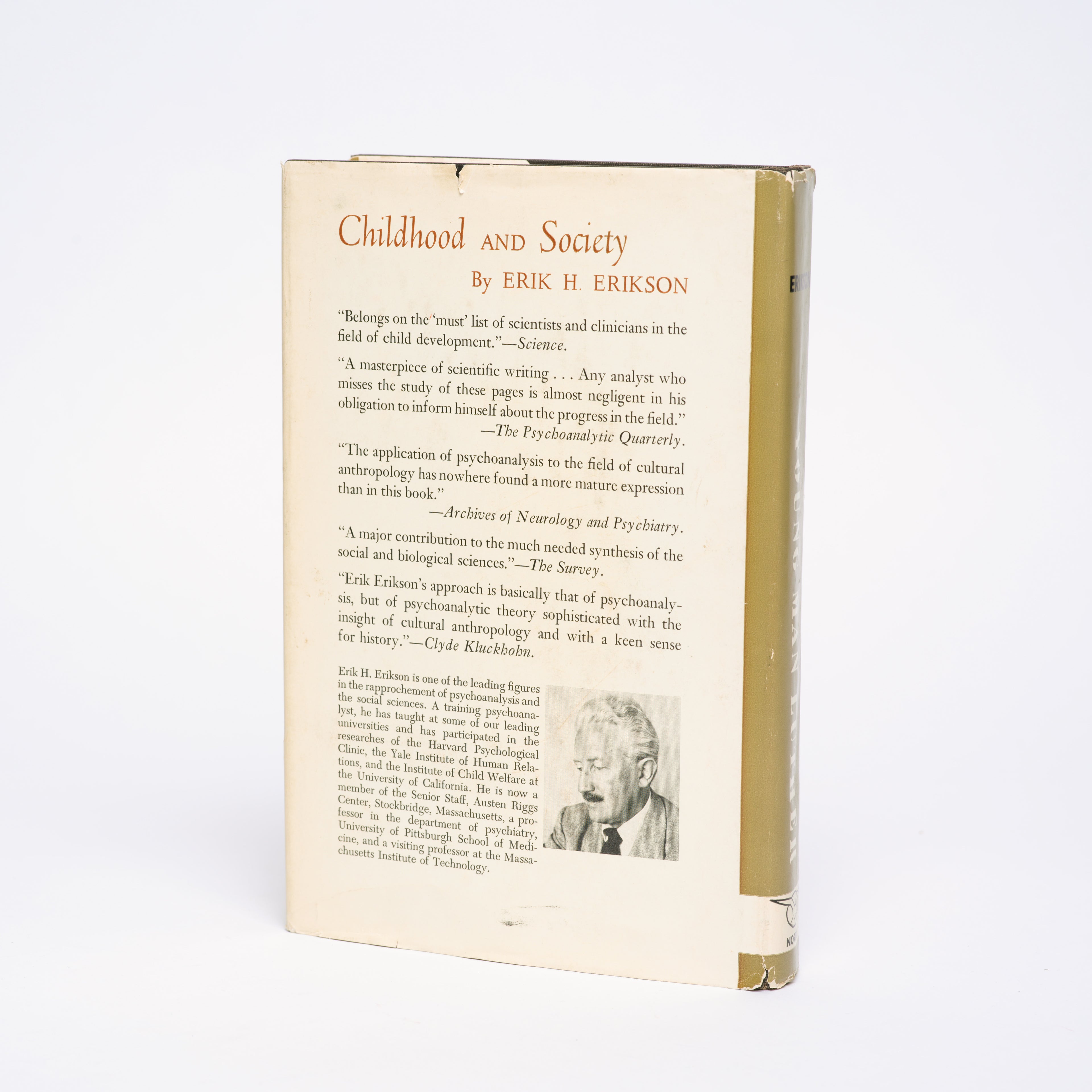 Young Man Luther: A Study in Psychoanalysis and History - Erikson, Erik