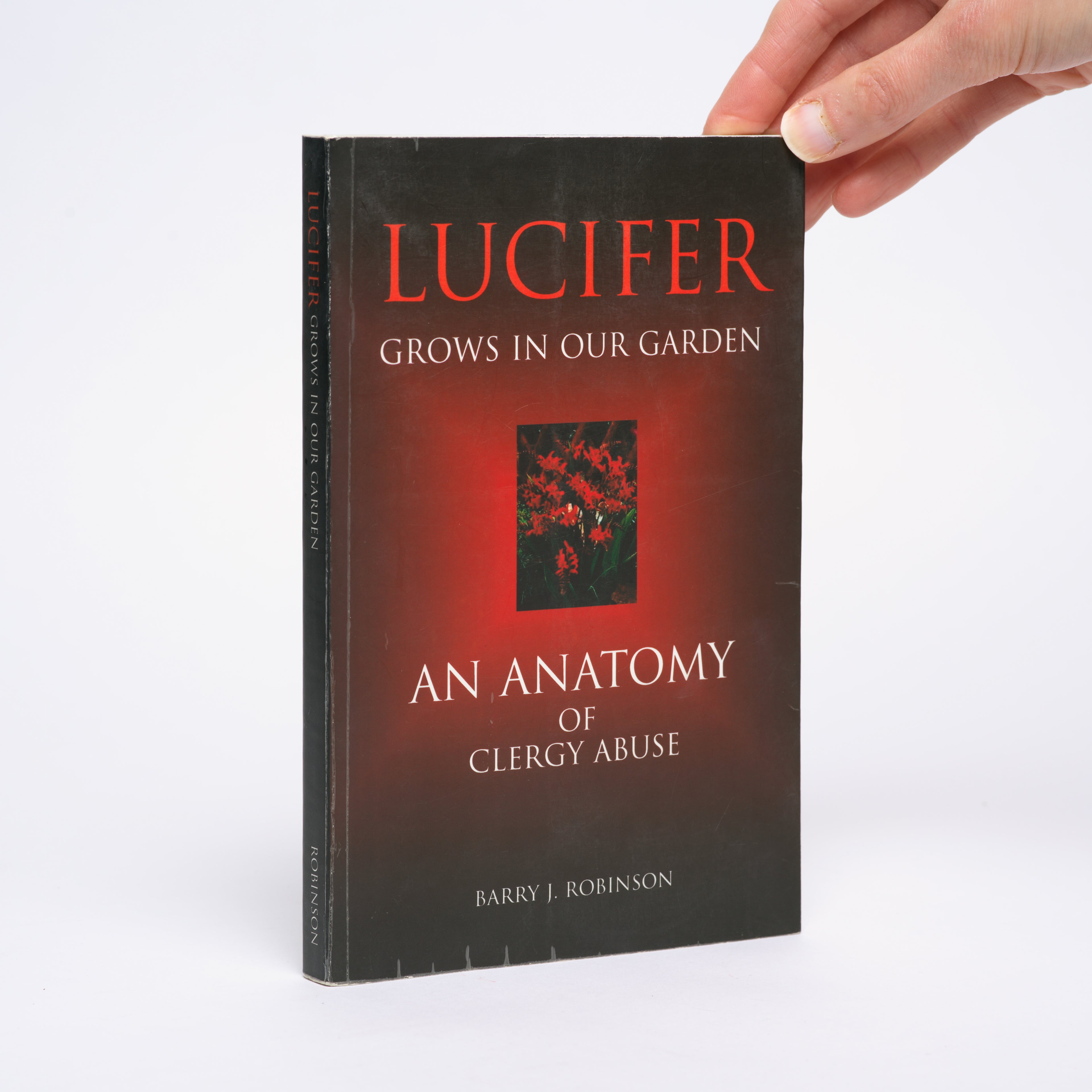Lucifer Grows in Our Garden: An Anatomy of Clergy Abuse - Robinson, Barry J.