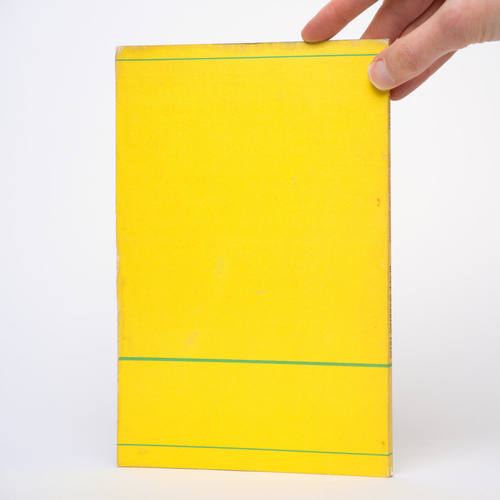 The Plain of Smokes - Mudd, Harvey; Price, Ken (illustrator)