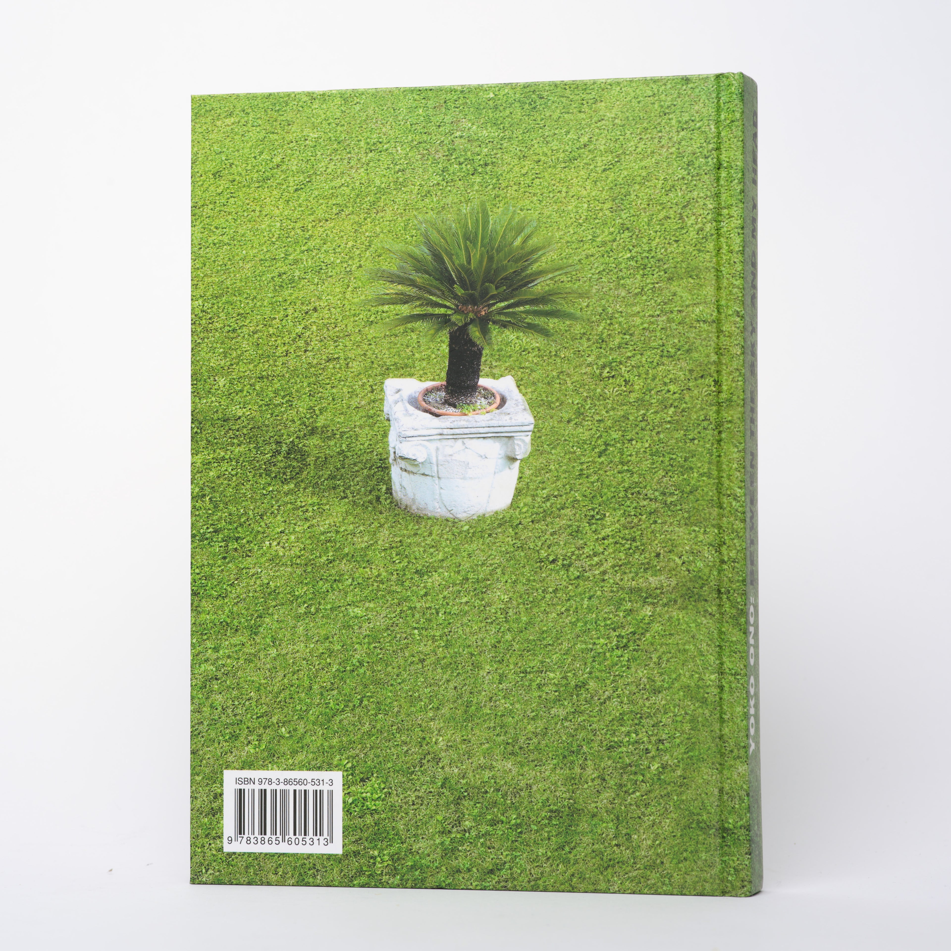 Yoko Ono: Between the Sky and My Head - Ono, Yoko; Kellein, Thomas (editor)