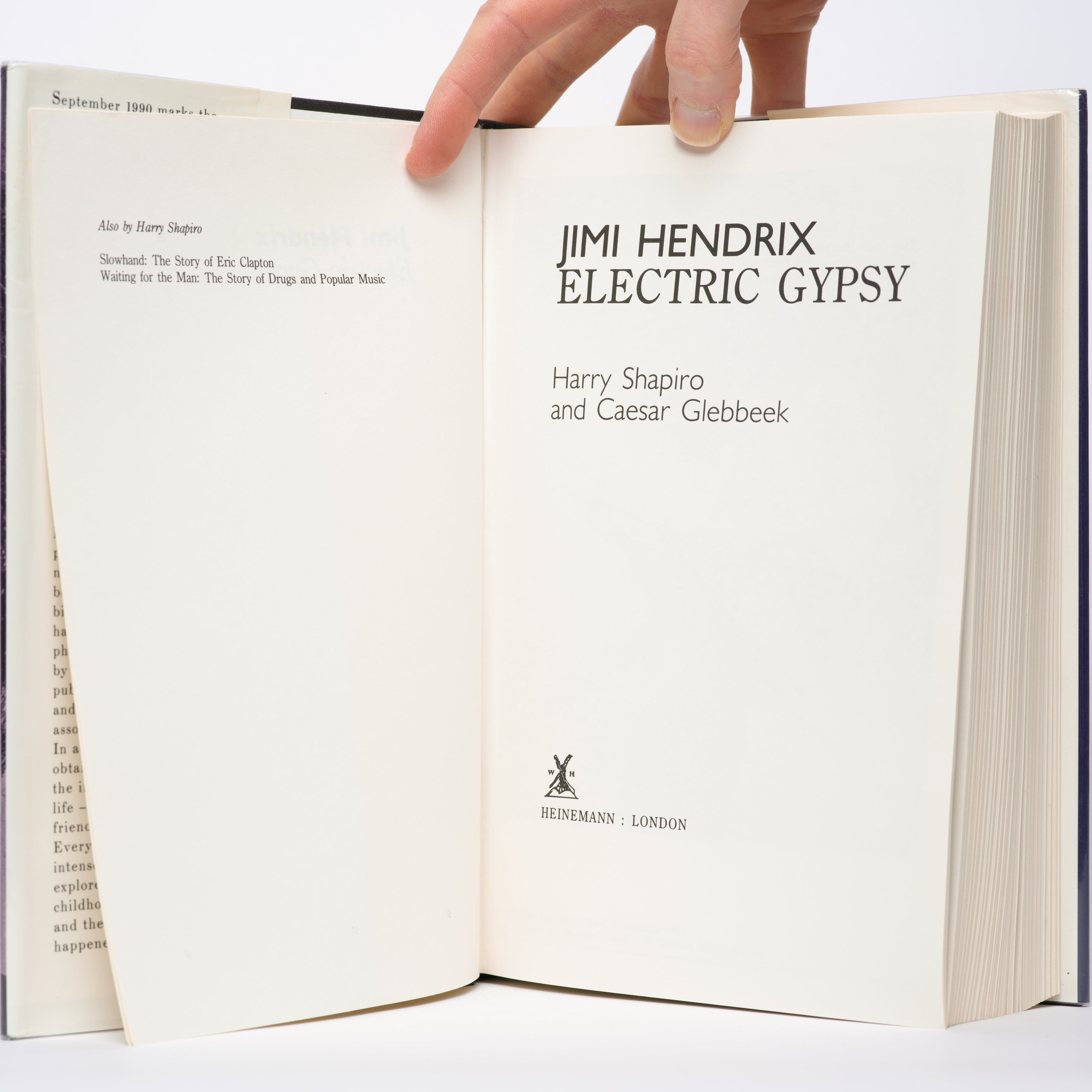 Jimi Hendrix: Electric Gypsy - Shapiro, Harry; Glebbeek, Caesar