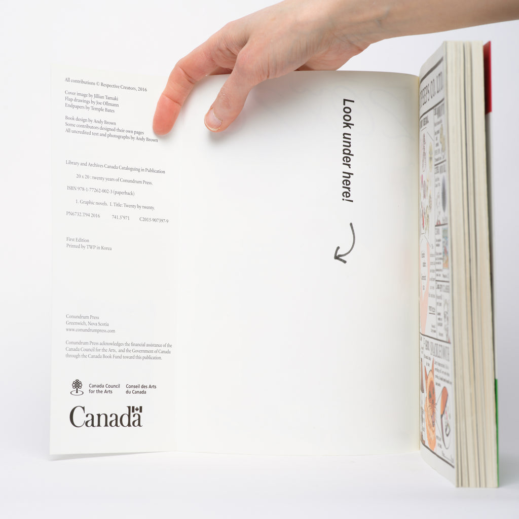 20 X 20: Twenty Years of Conundrum Press - Brown, Andy (editor)