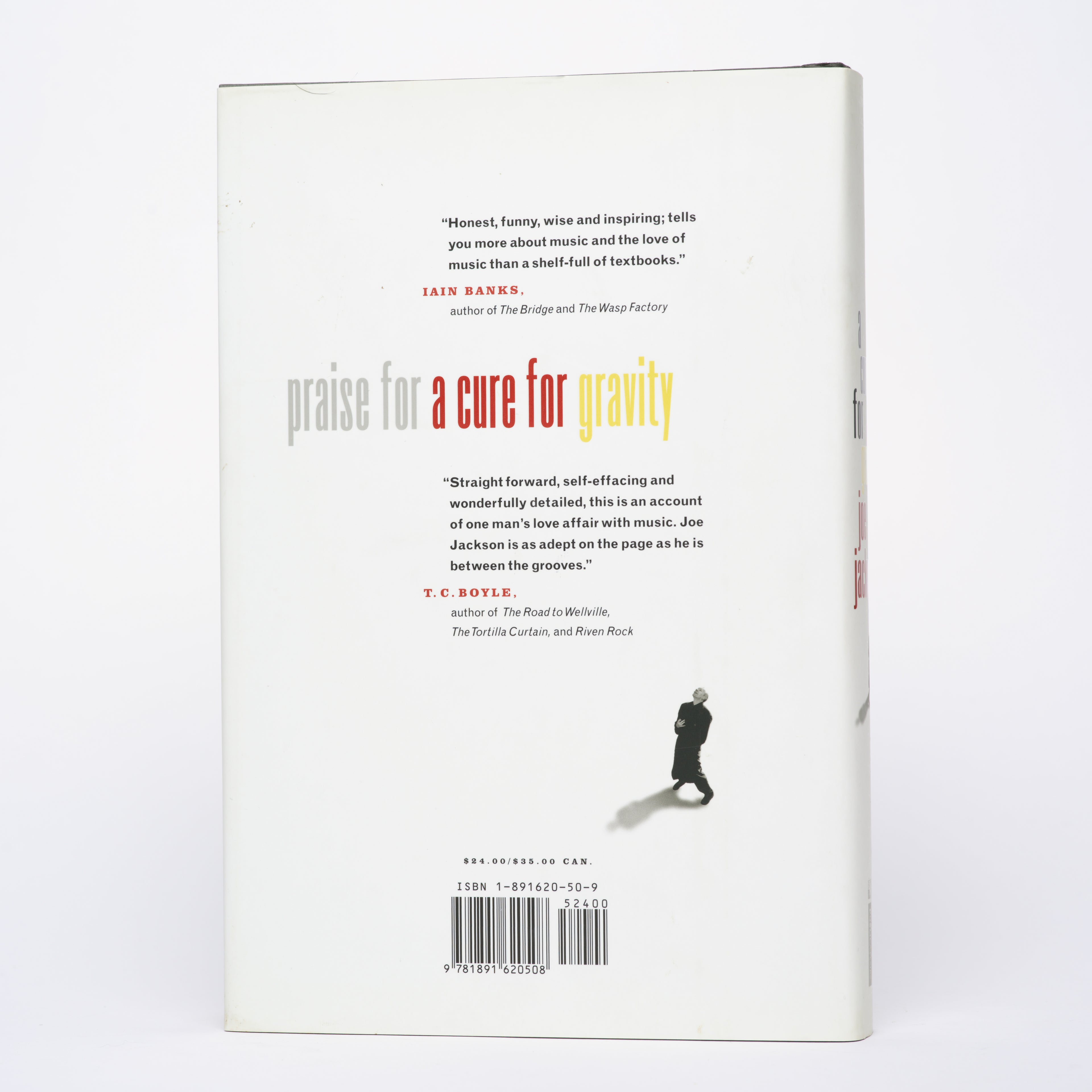 A Cure for Gravity: A Musical Pilgrimage - Jackson, Joe