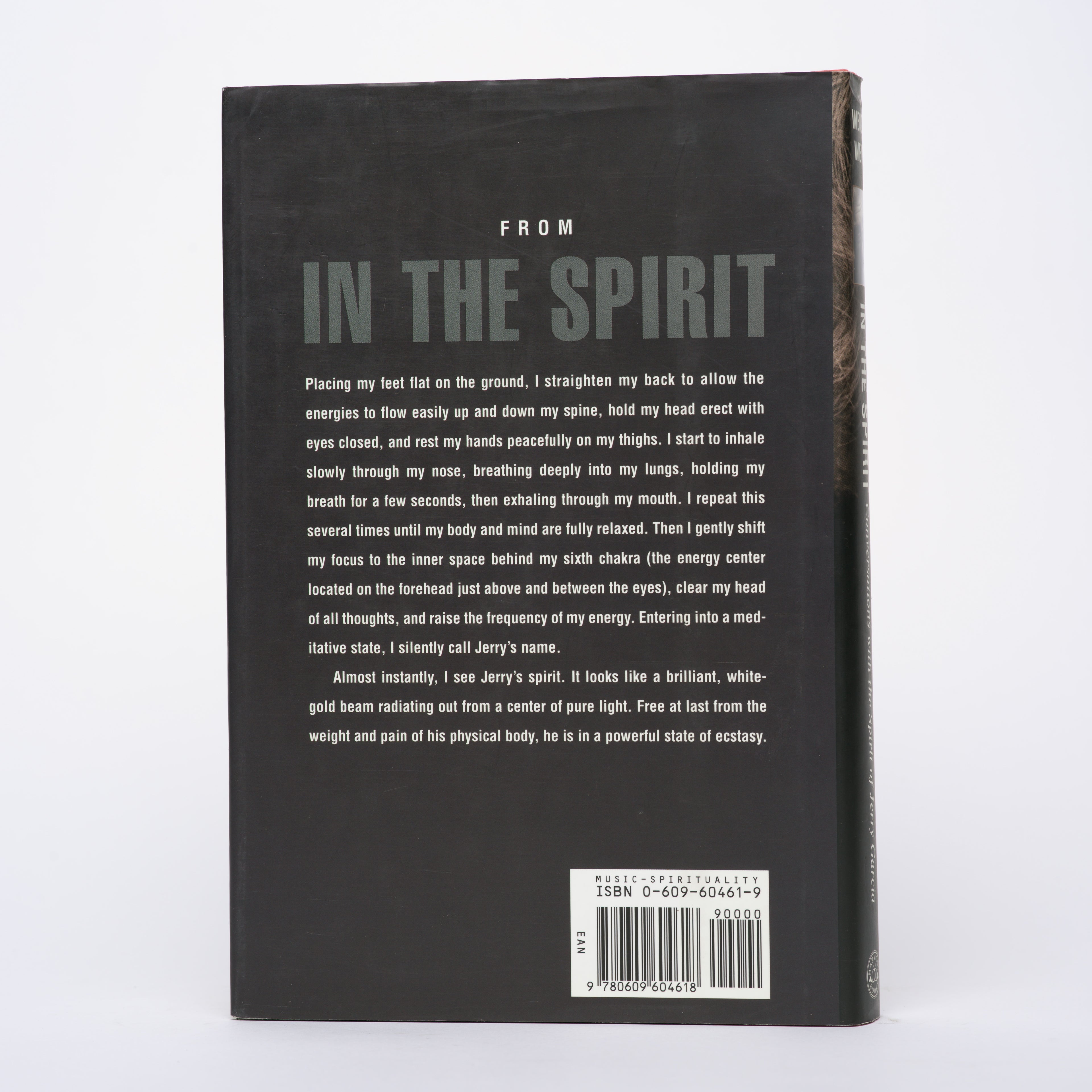In the Spirit: Conversations with the Spirit of Jerry Garcia - Weir, Wendy