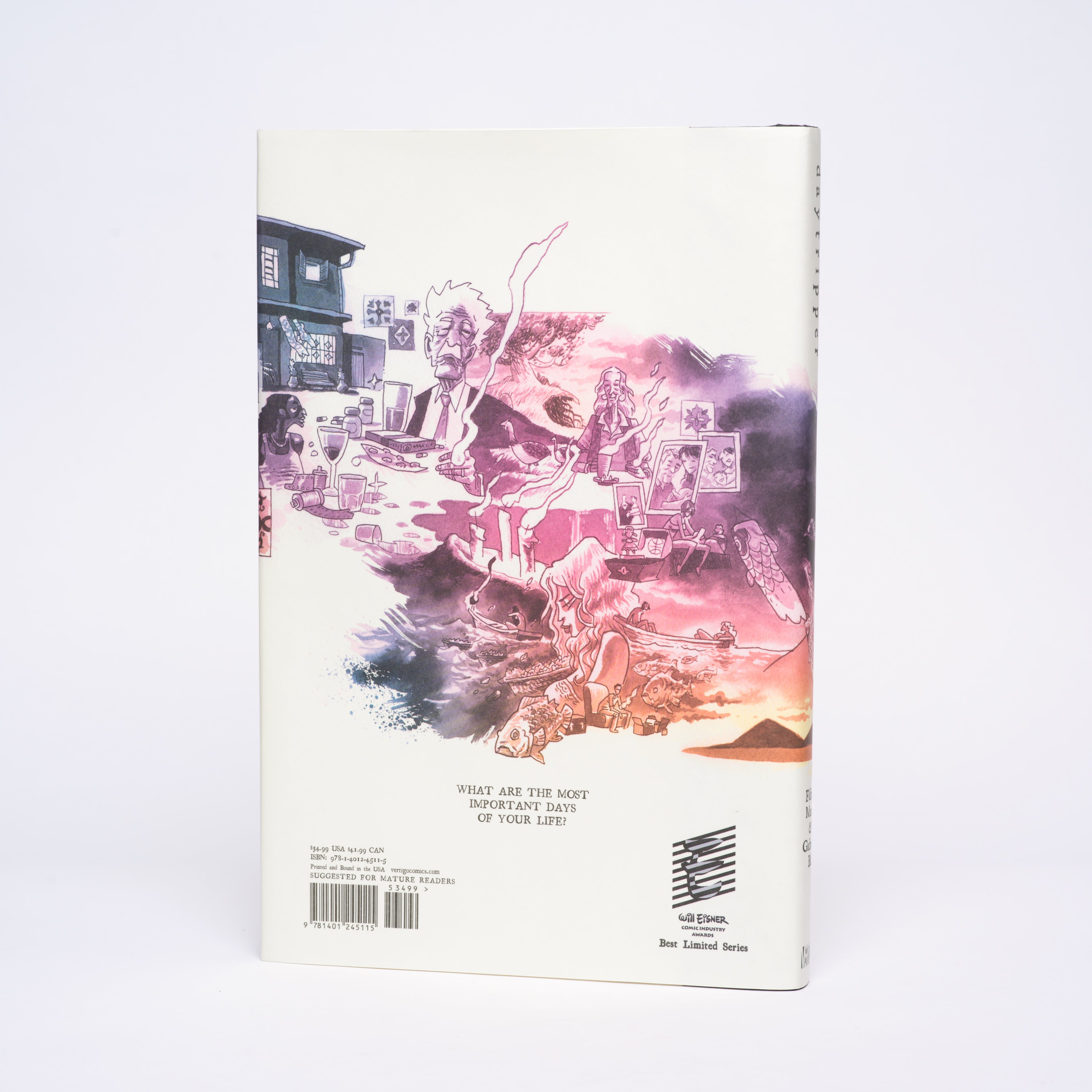 Daytripper: The Deluxe Edition - Moon, Fabio; Ba, Gabriel; Thompson, Craig (introduction)
