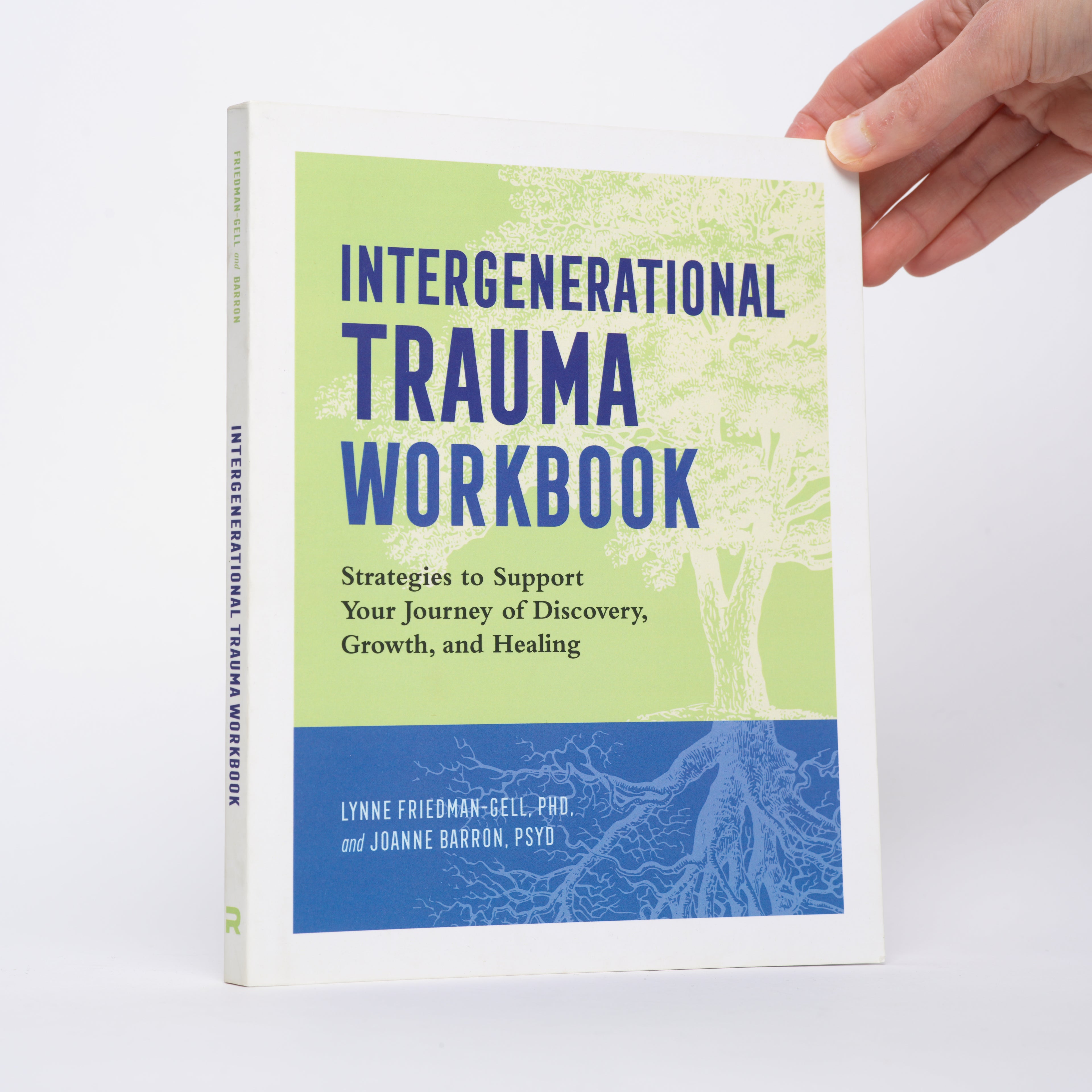 Intergenerational Trauma Workbook: Strategies to Support Your Journey of Discovery, Growth, and Healing - Friedman-Gell PhD., Lynne; Barron PsyD., Joanne