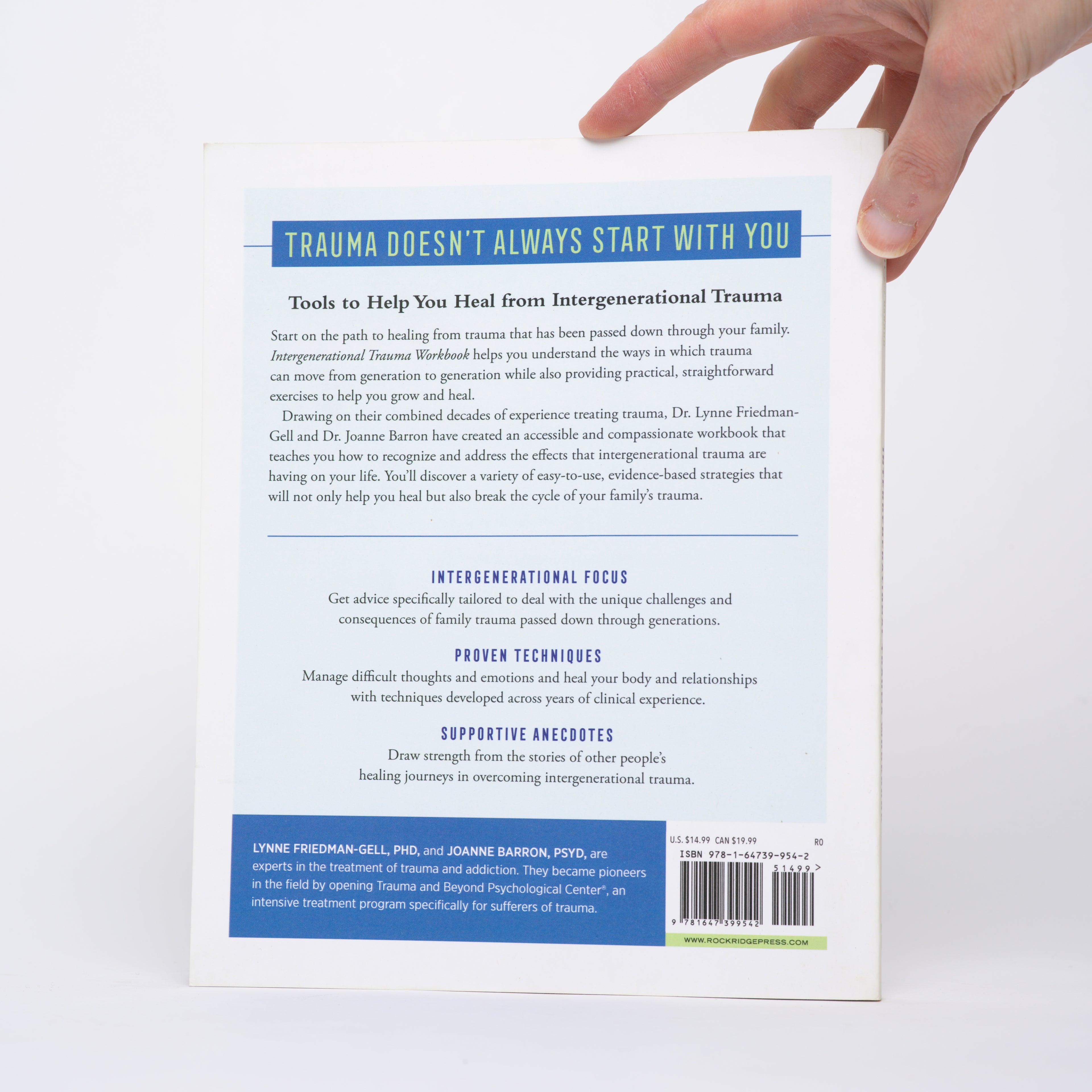 Intergenerational Trauma Workbook: Strategies to Support Your Journey of Discovery, Growth, and Healing - Friedman-Gell PhD., Lynne; Barron PsyD., Joanne
