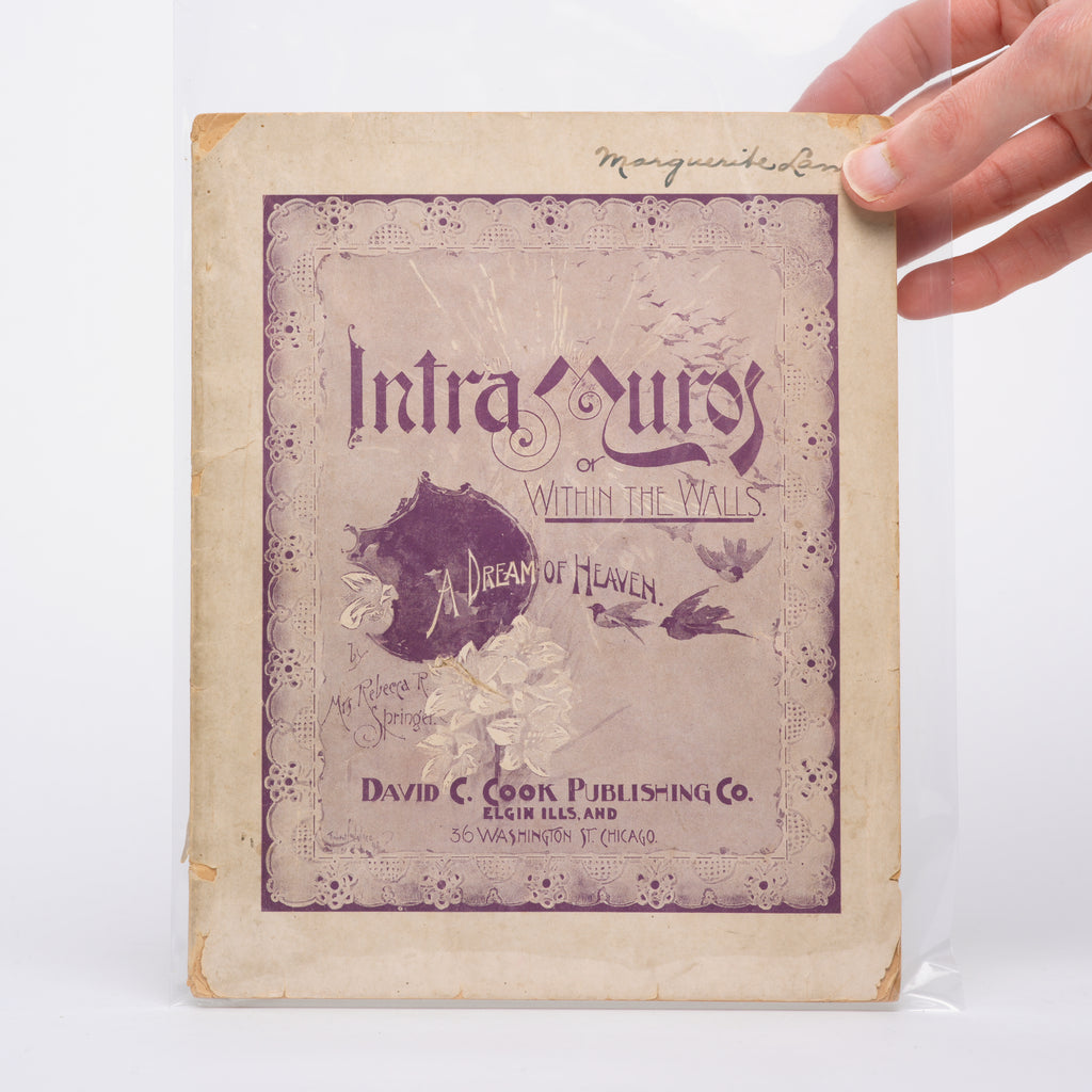 Intra Muros, or Within the Walls: A Dream of Heaven - Springer, Rebecca R.