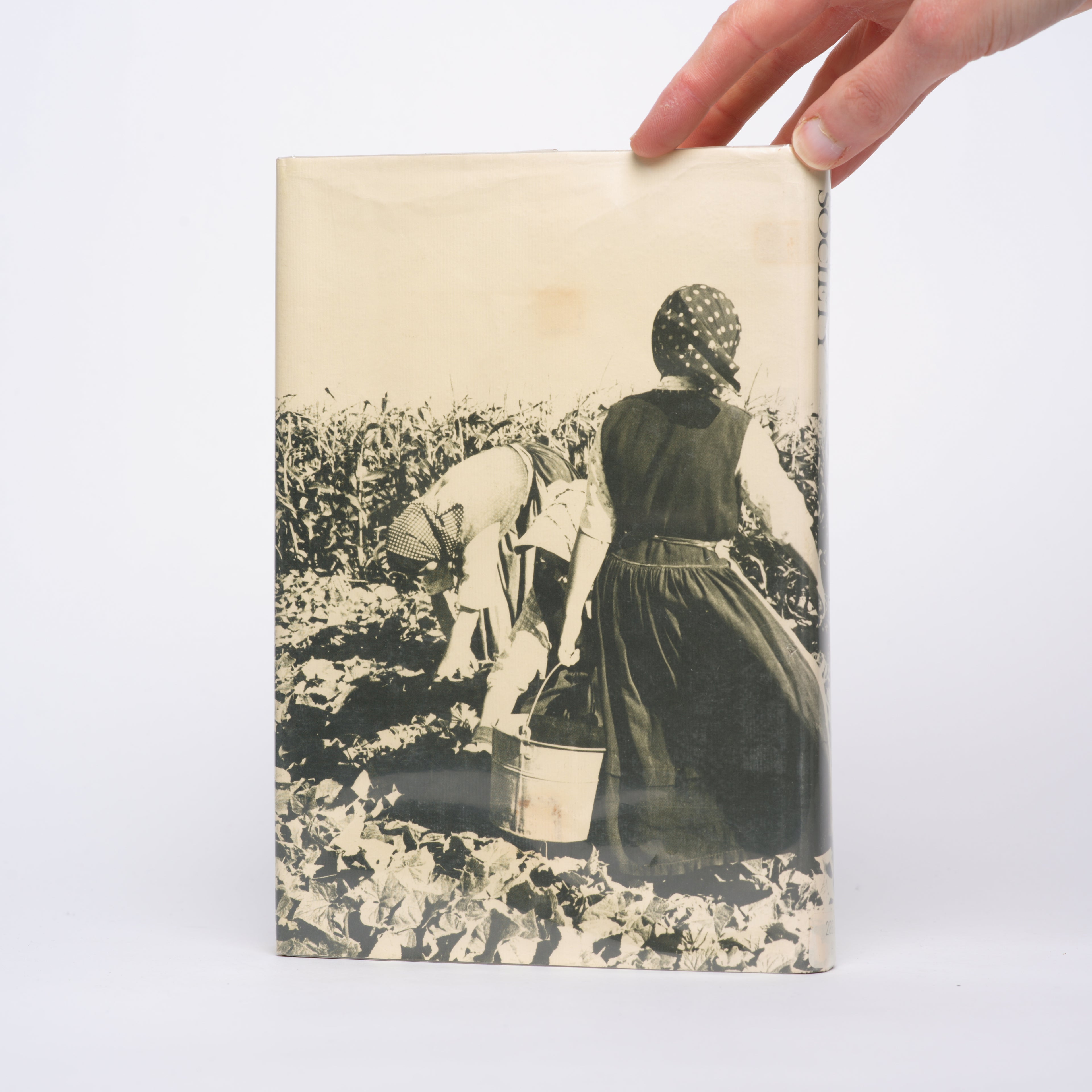 Hutterite Society - Hostetler, John A.