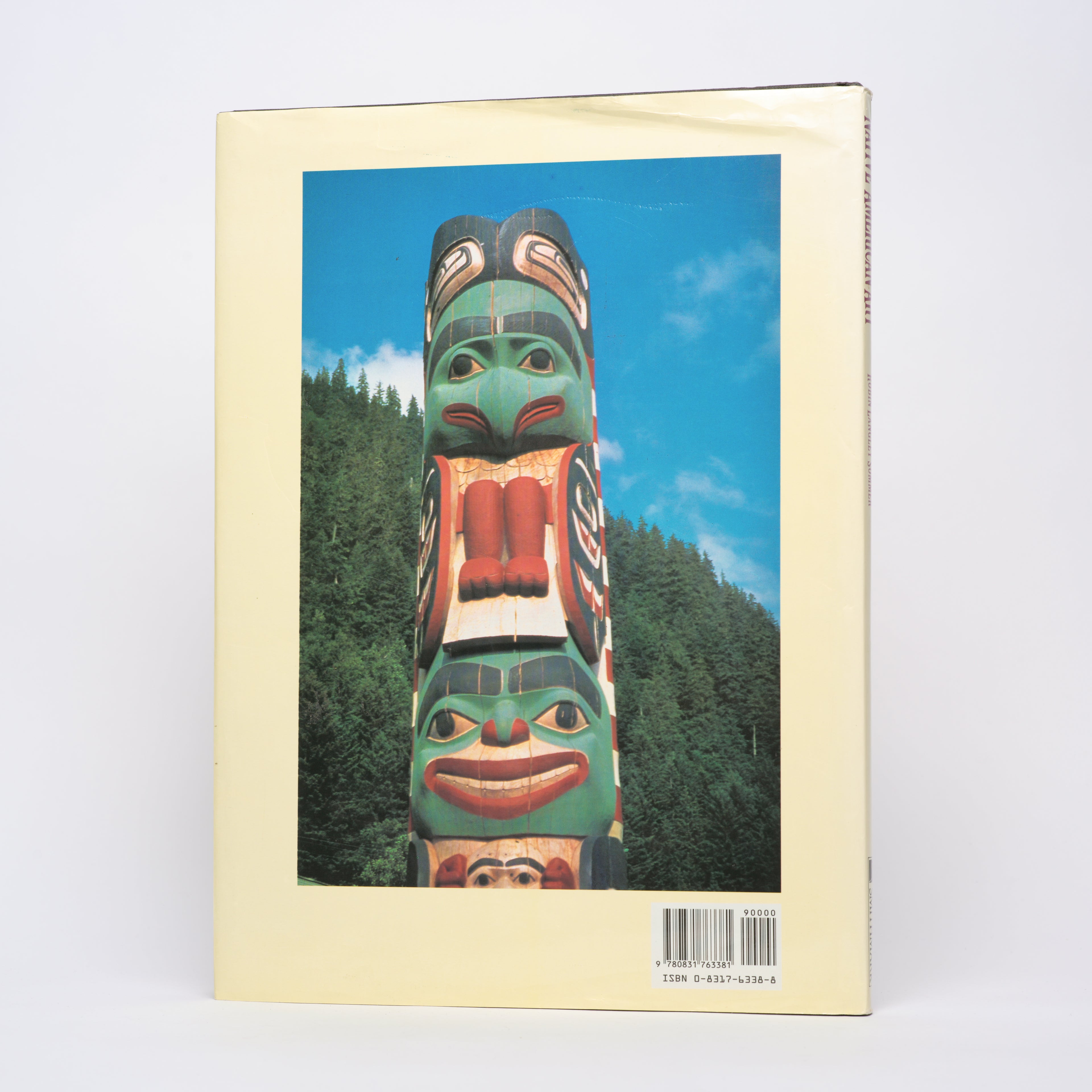 Native American Art - Sommer, Robin Langley