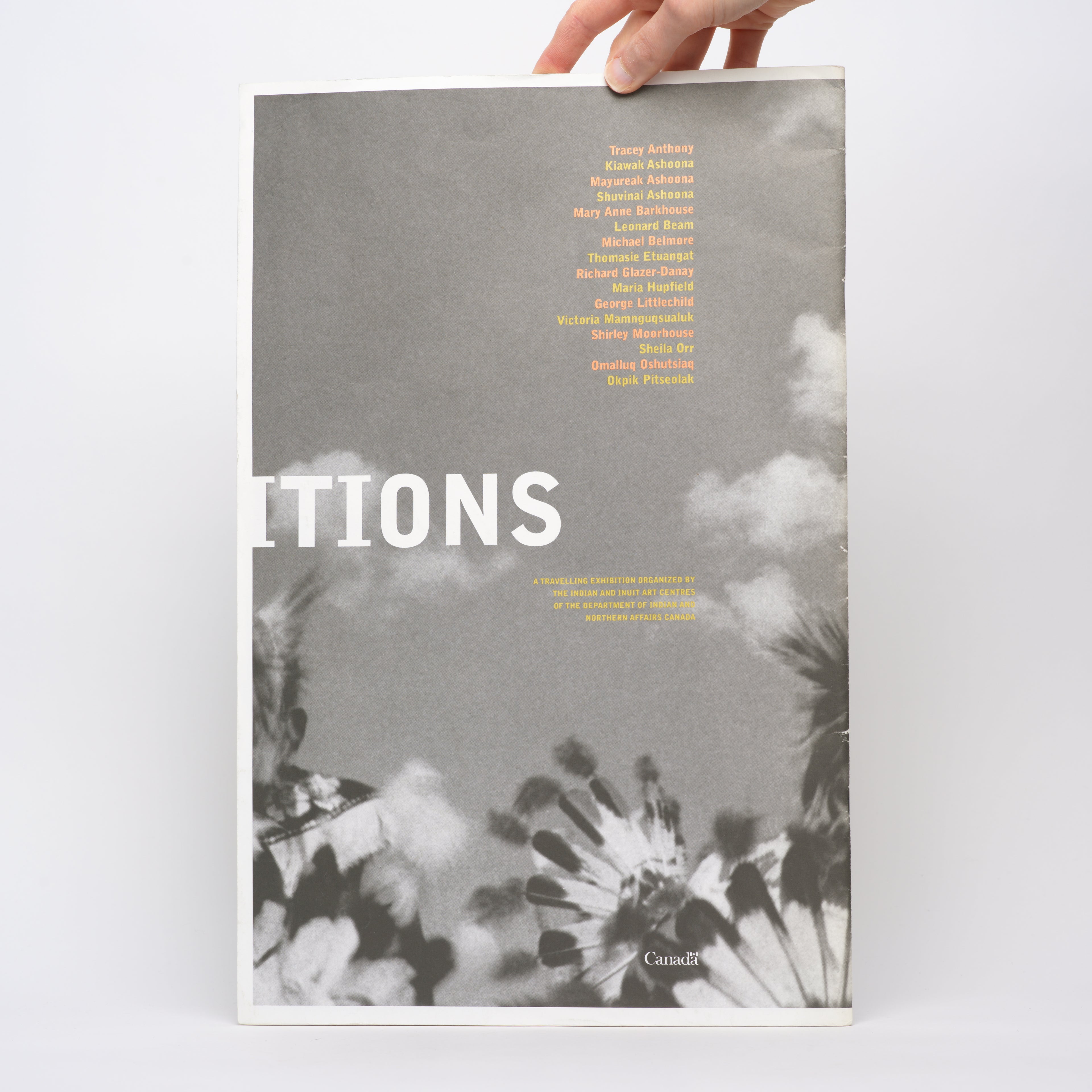 Transitions 2: Contemporary Indian and Inuit Art of Canada - Pottle, Barry (curator); Rice, Ryan (curator)