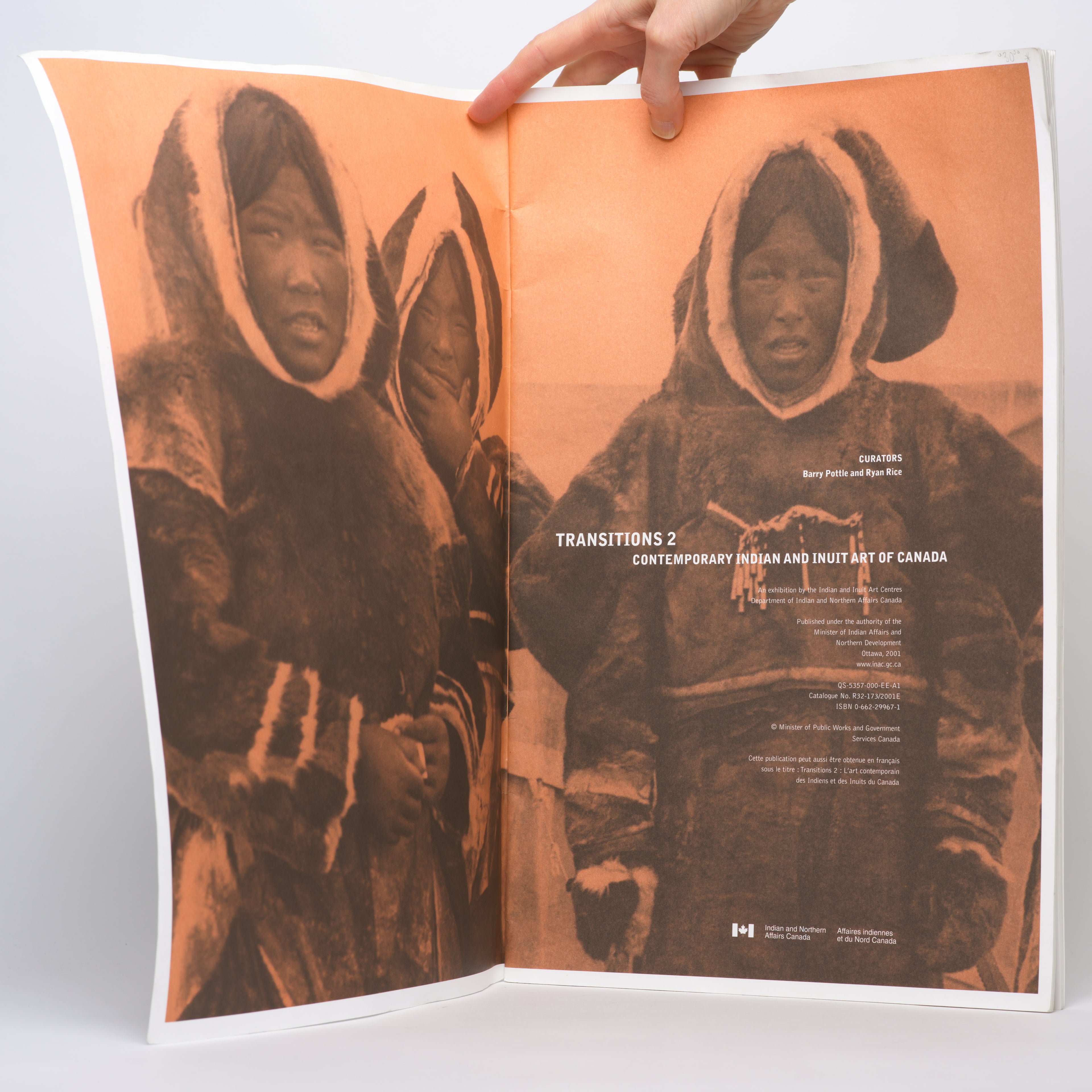 Transitions 2: Contemporary Indian and Inuit Art of Canada - Pottle, Barry (curator); Rice, Ryan (curator)