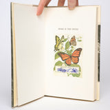 Home Is the Hotel - Nicol, Jean