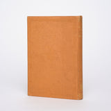 The Old Vice and the New Chivalry - Templeton-Armstrong, I.