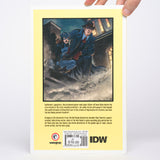 The Red Panda: The Mask of the Red Panda - Taylor, Gregg