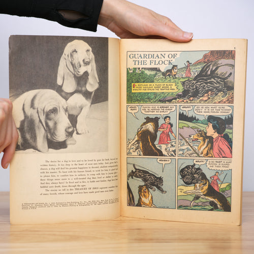 A Treasury of Dogs No. 1
