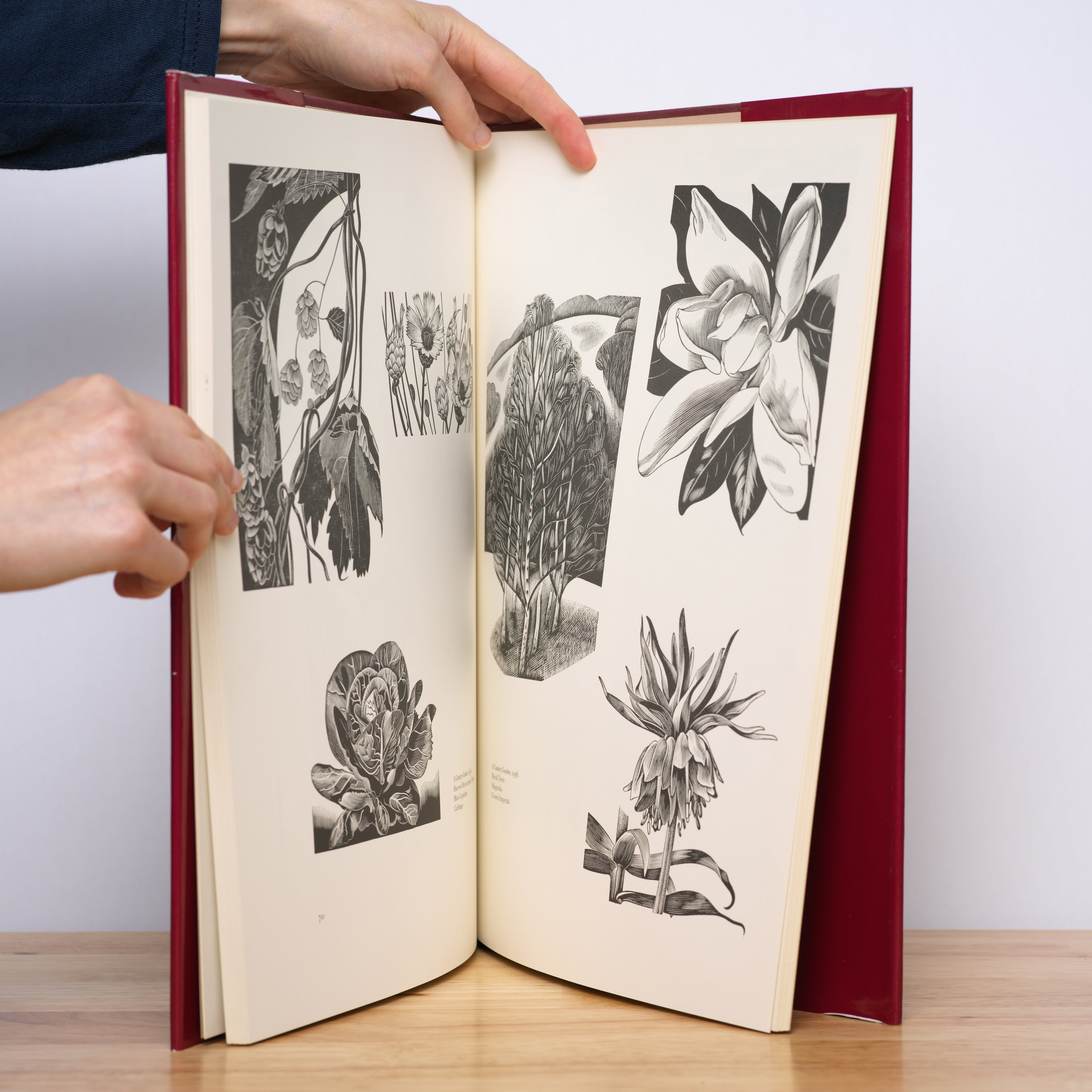 The Wood Engravings of John Farleigh - Poole, Monica