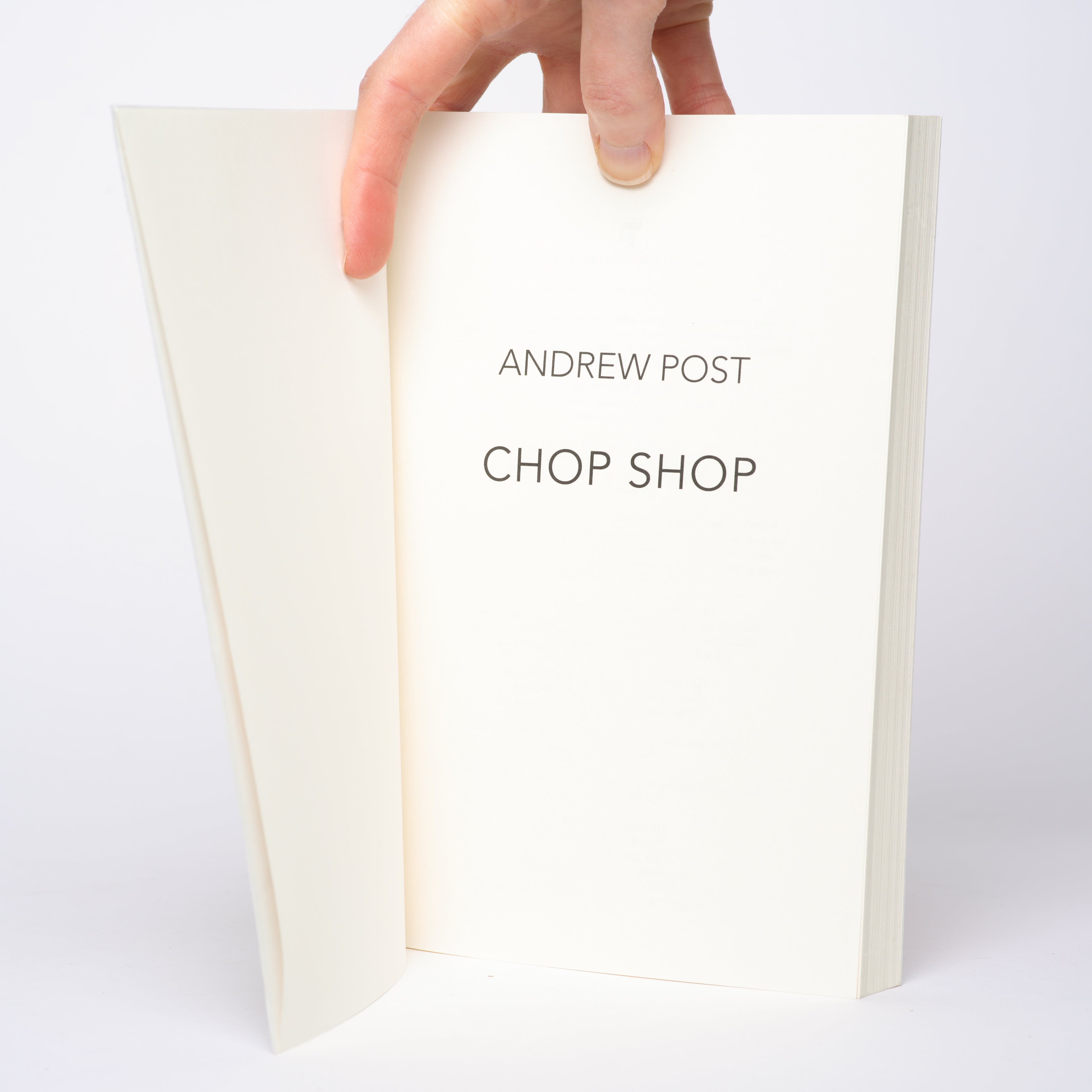 Chop Shop (Fiction Without Frontiers Series) - Post, Andrew