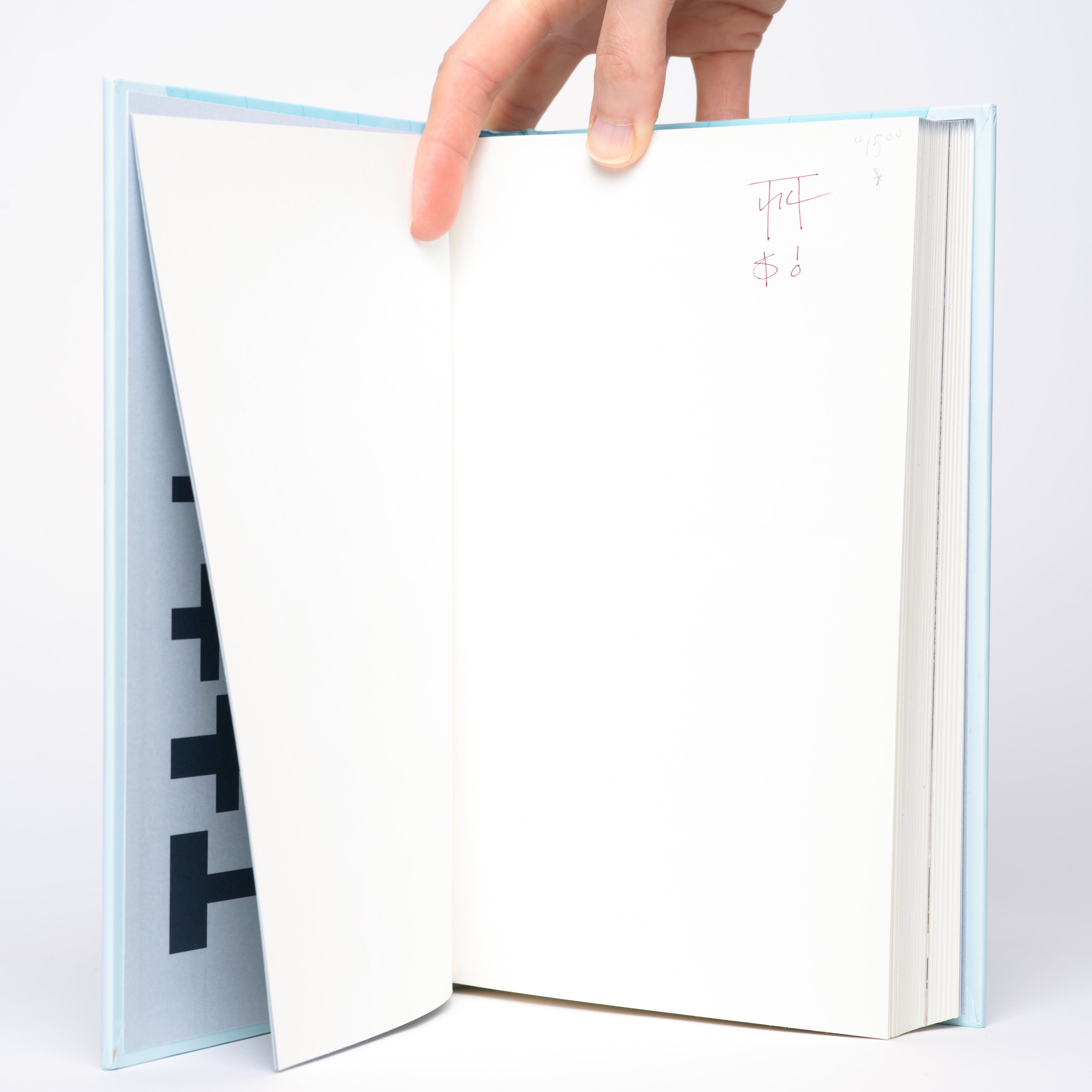 Did Someone Say Participate?: An Atlas of Spatial Practice - Miessen, Markus (editor); Basar, Shuman (editor)