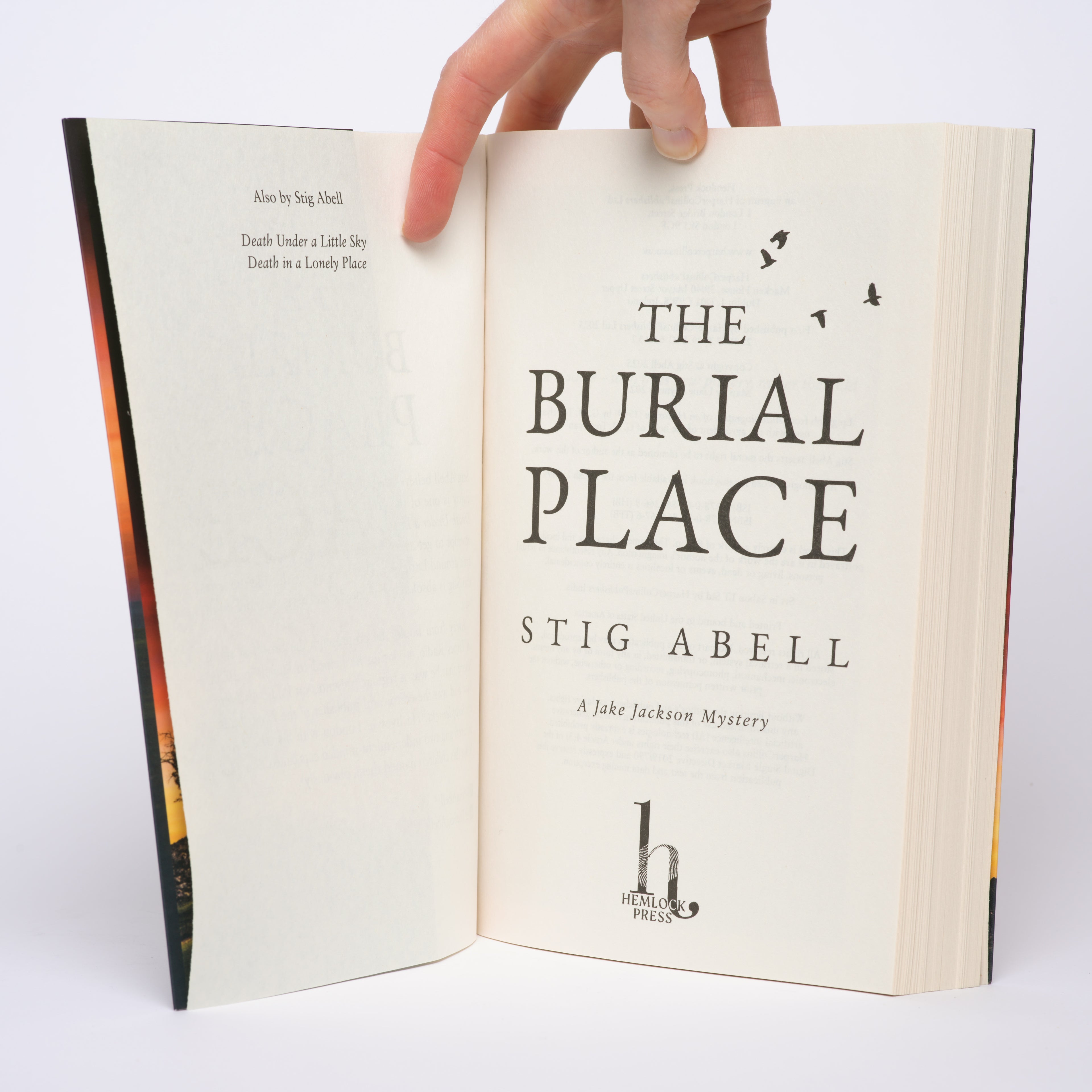 The Burial Place (Jake Jackson #3) - Abell, Stig