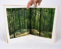 Bamboo of Japan: Splendor in Four Seasons - Takama, Shinji